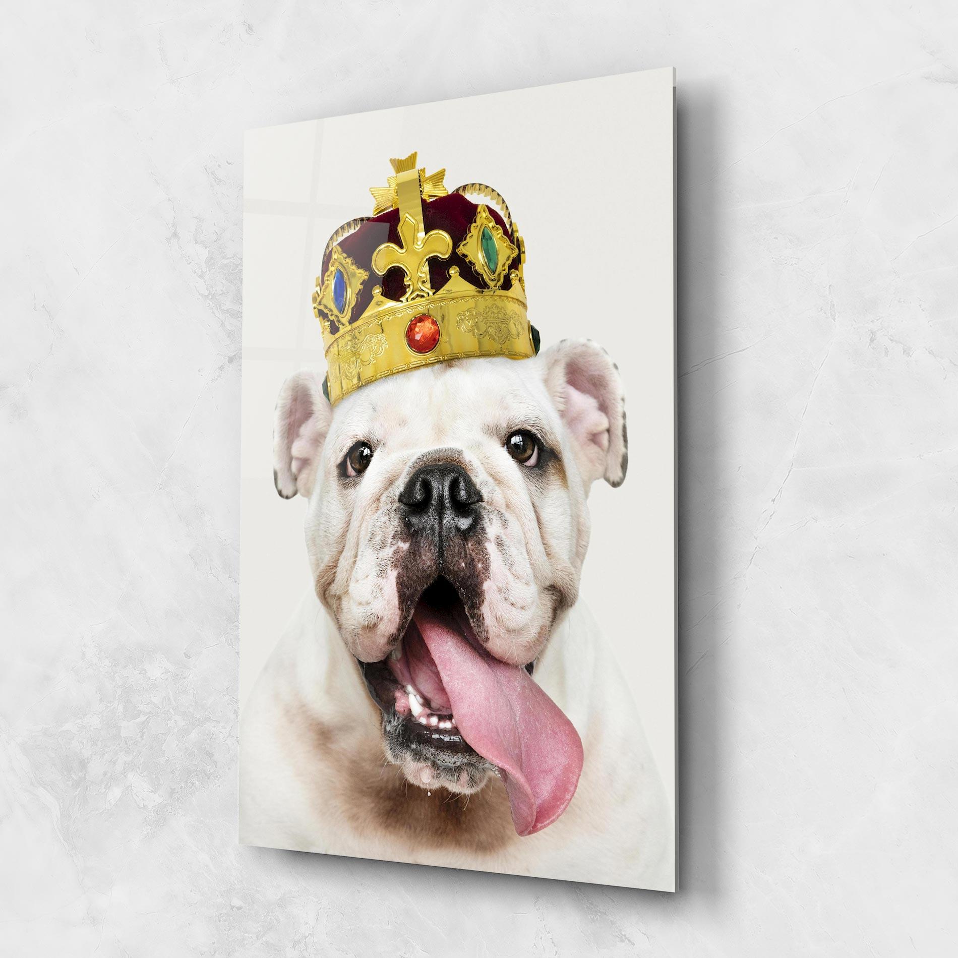 Glasbild Bulldog Wearing Crown mockup 1