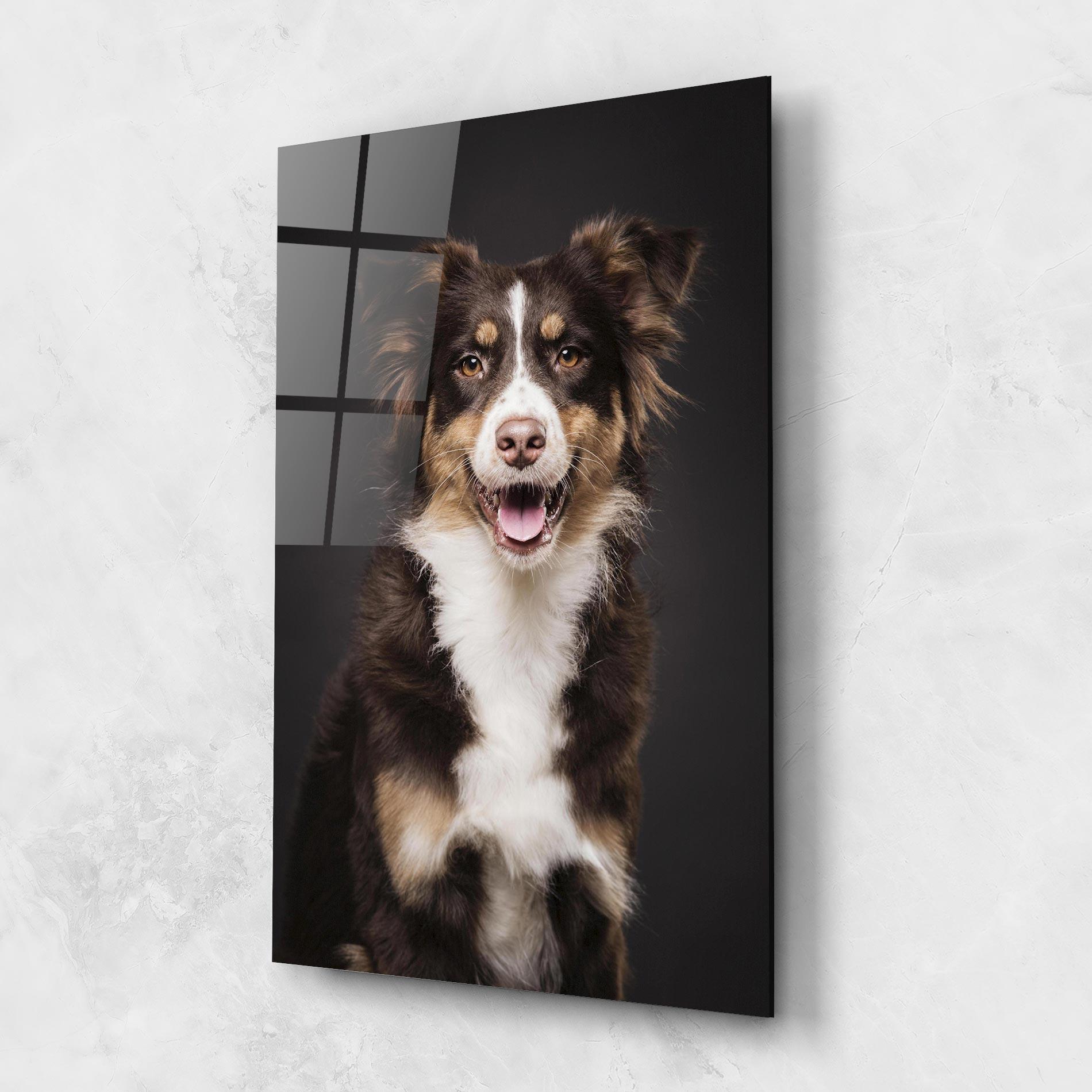 Glasbild Cute Dog Sitting mockup 1