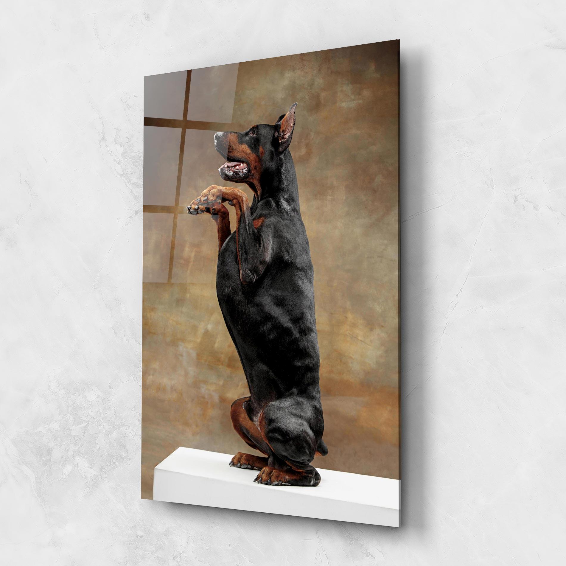 Glasbild Doberman Standing mockup 1
