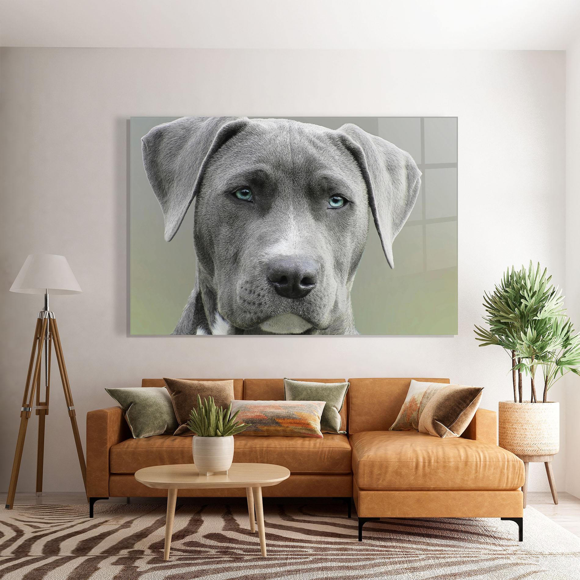 Glasbild Blue Eyes Dog mockup 7