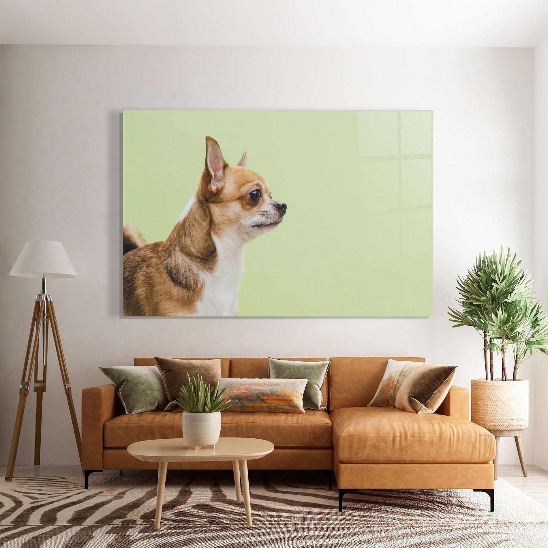 Glasbild Chihuahua Dog mockup 7