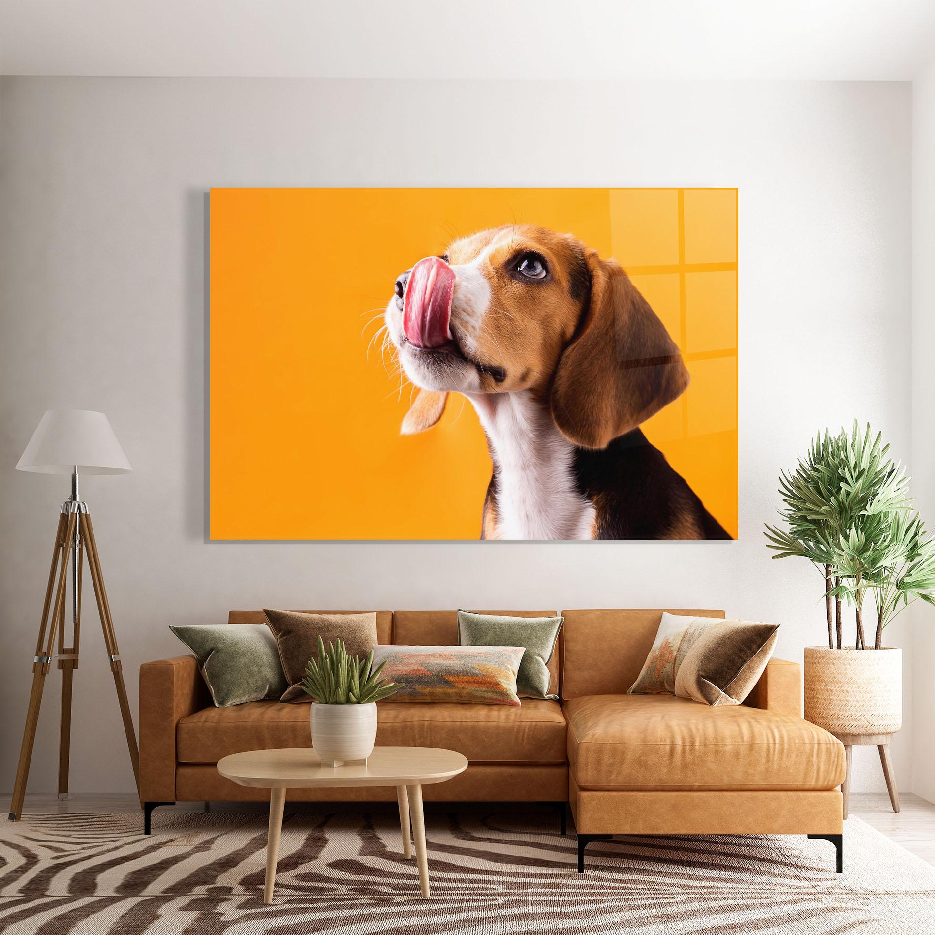 Glasbild Cute Beagle Puppy mockup 7