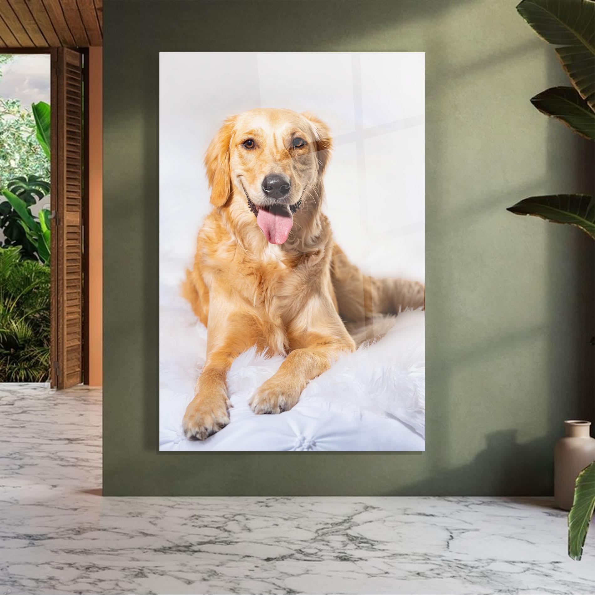 Glasbild Beautiful Gold Dog mockup 7