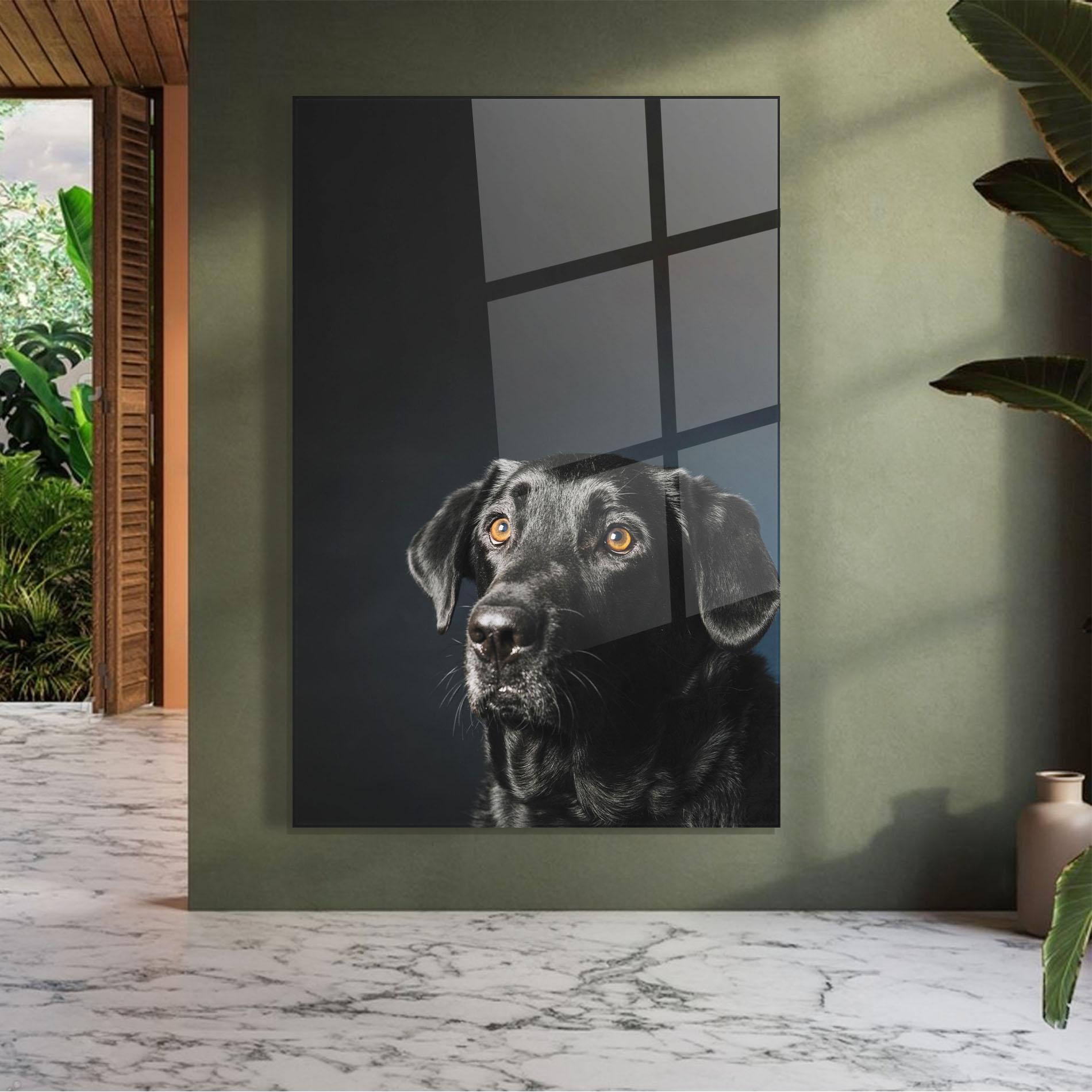 Glasbild Brown Eyes Dog mockup 7