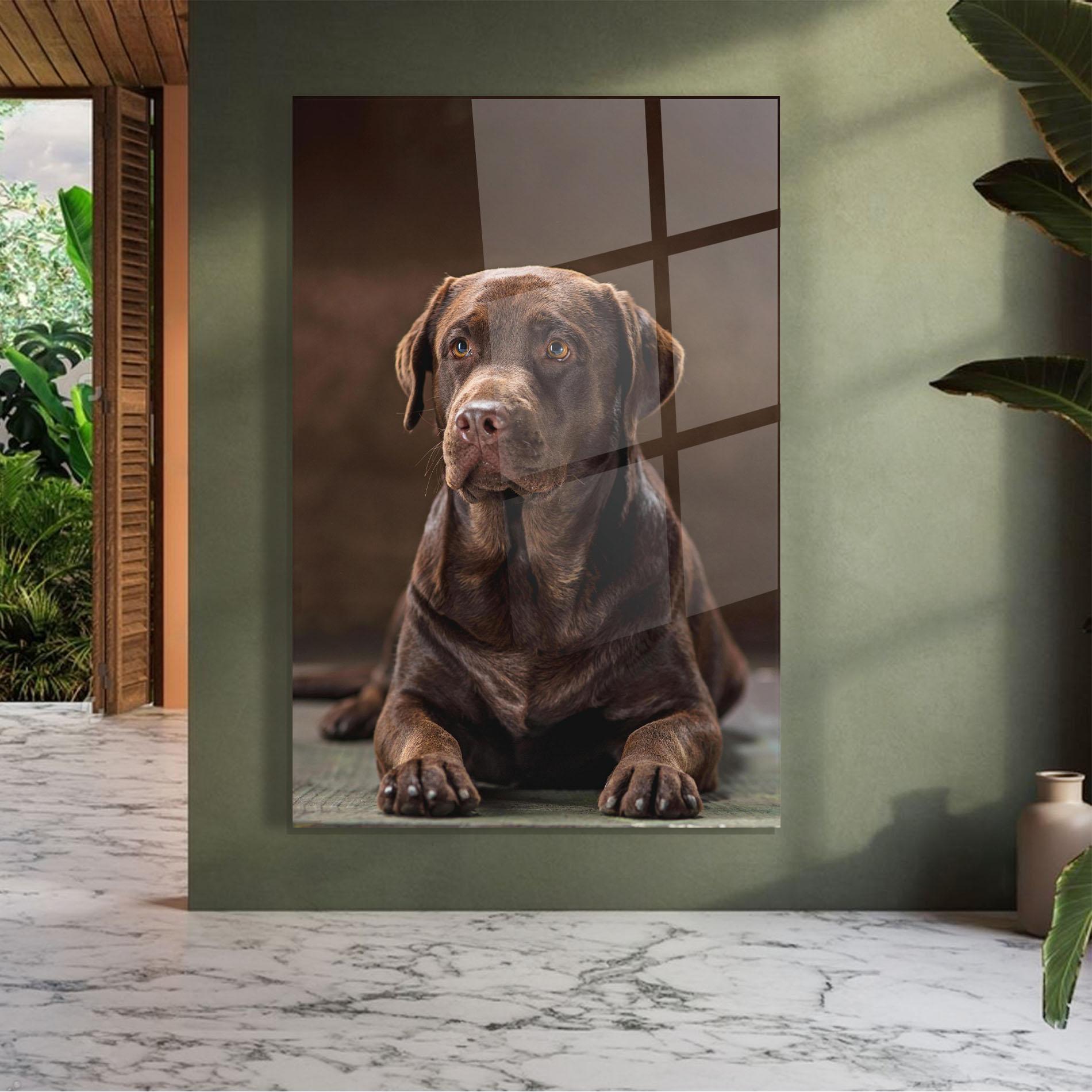 Glasbild Brown Labrador Dog mockup 7