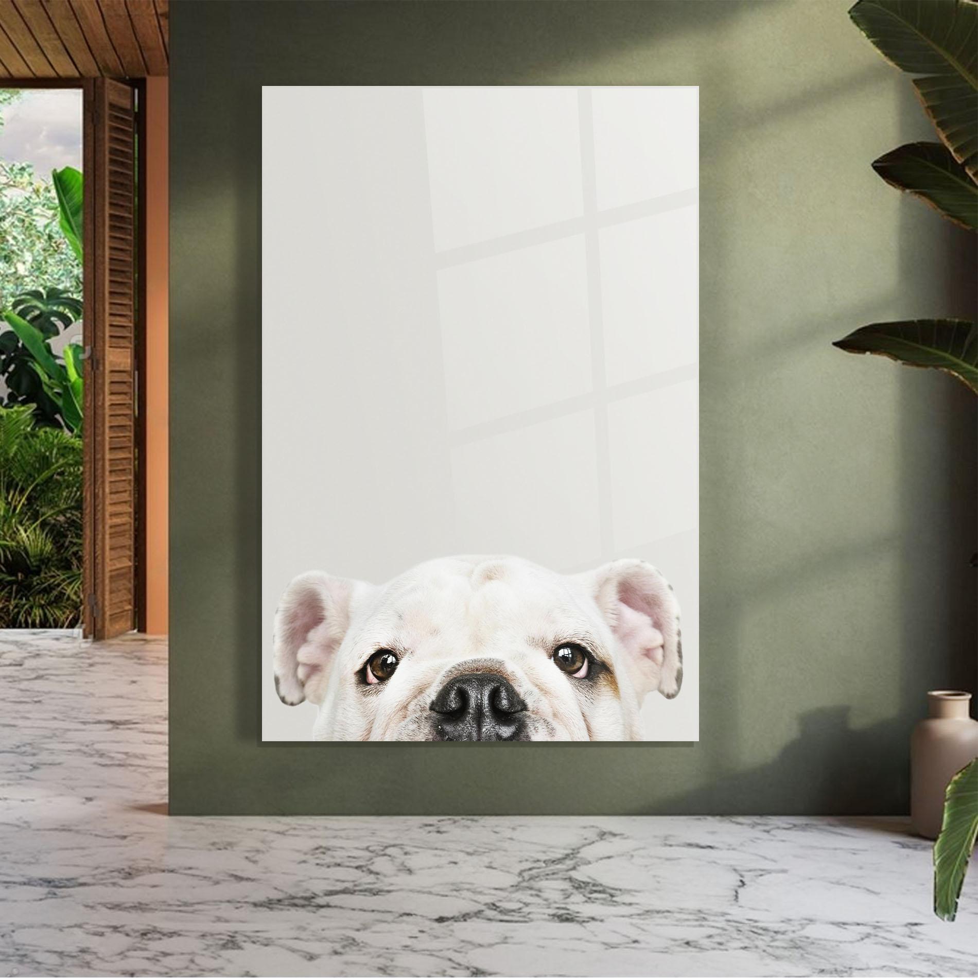 Glasbild Bulldog Eyes mockup 7