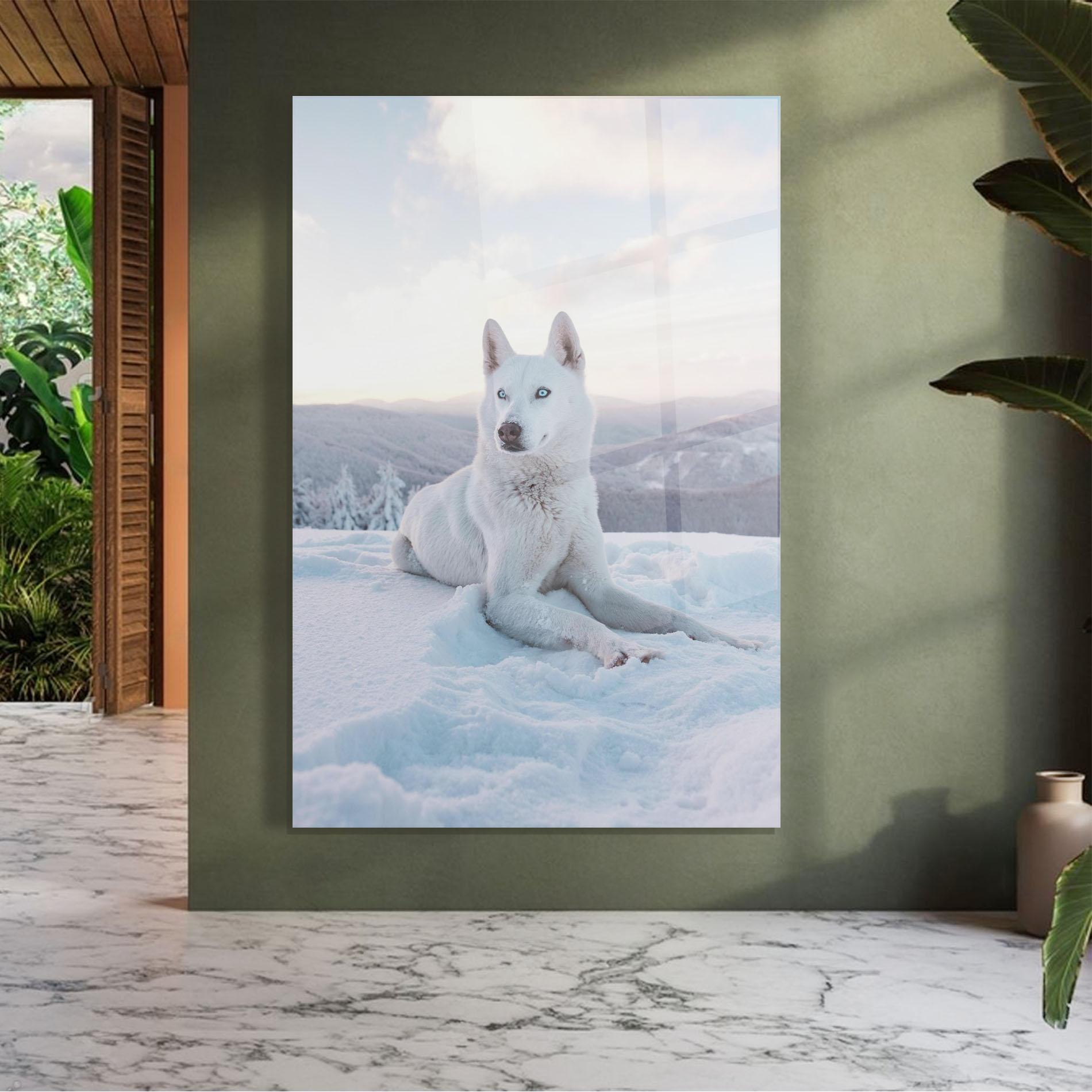 Glasbild White Husky mockup 7
