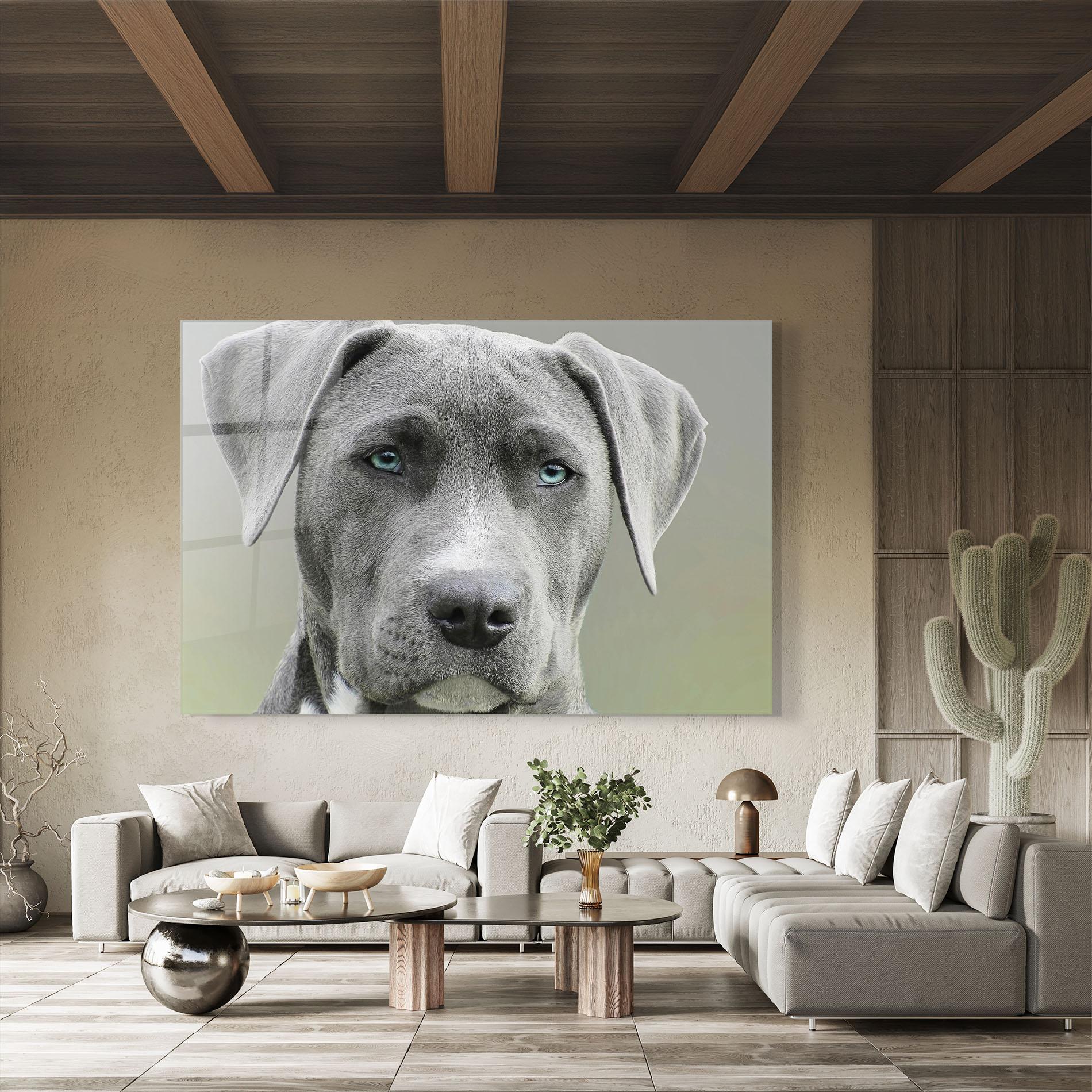 Glasbild Blue Eyes Dog mockup 8