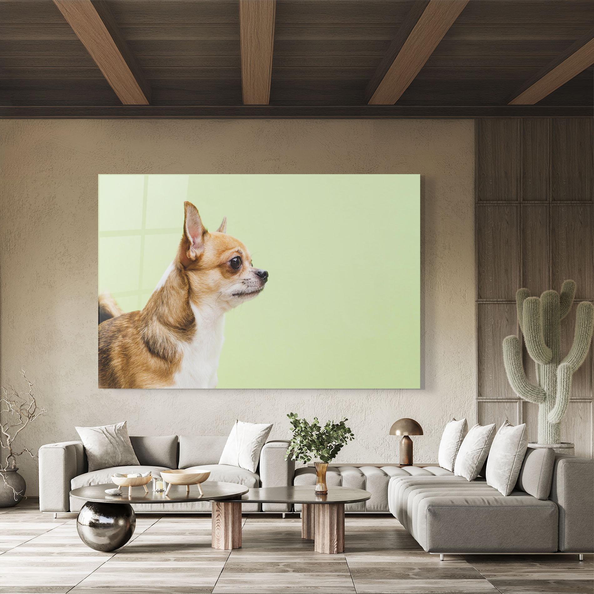 Glasbild Chihuahua Dog mockup 8