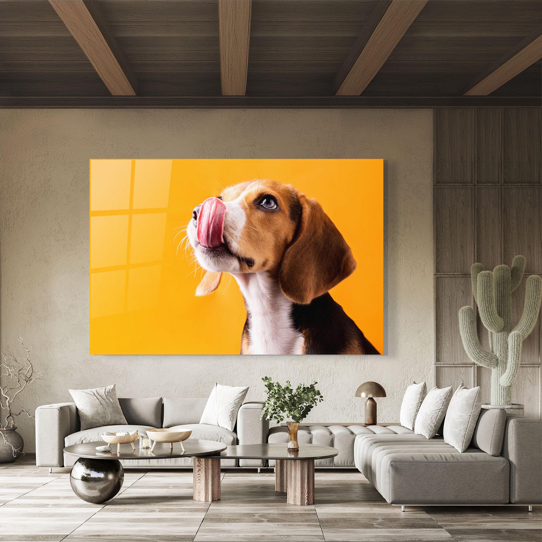 Glasbild Cute Beagle Puppy mockup 8