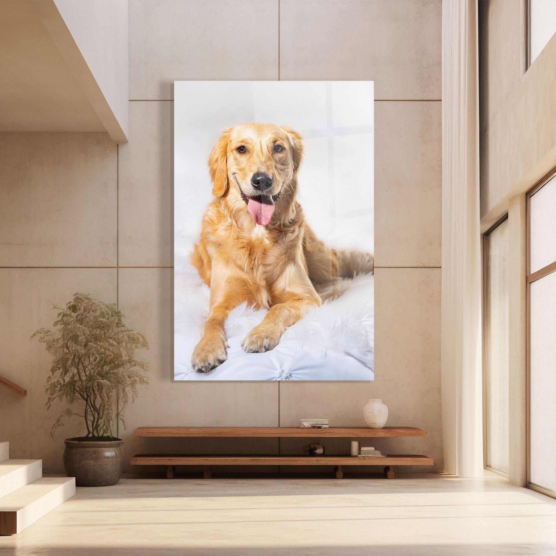 Glasbild Beautiful Gold Dog mockup 8