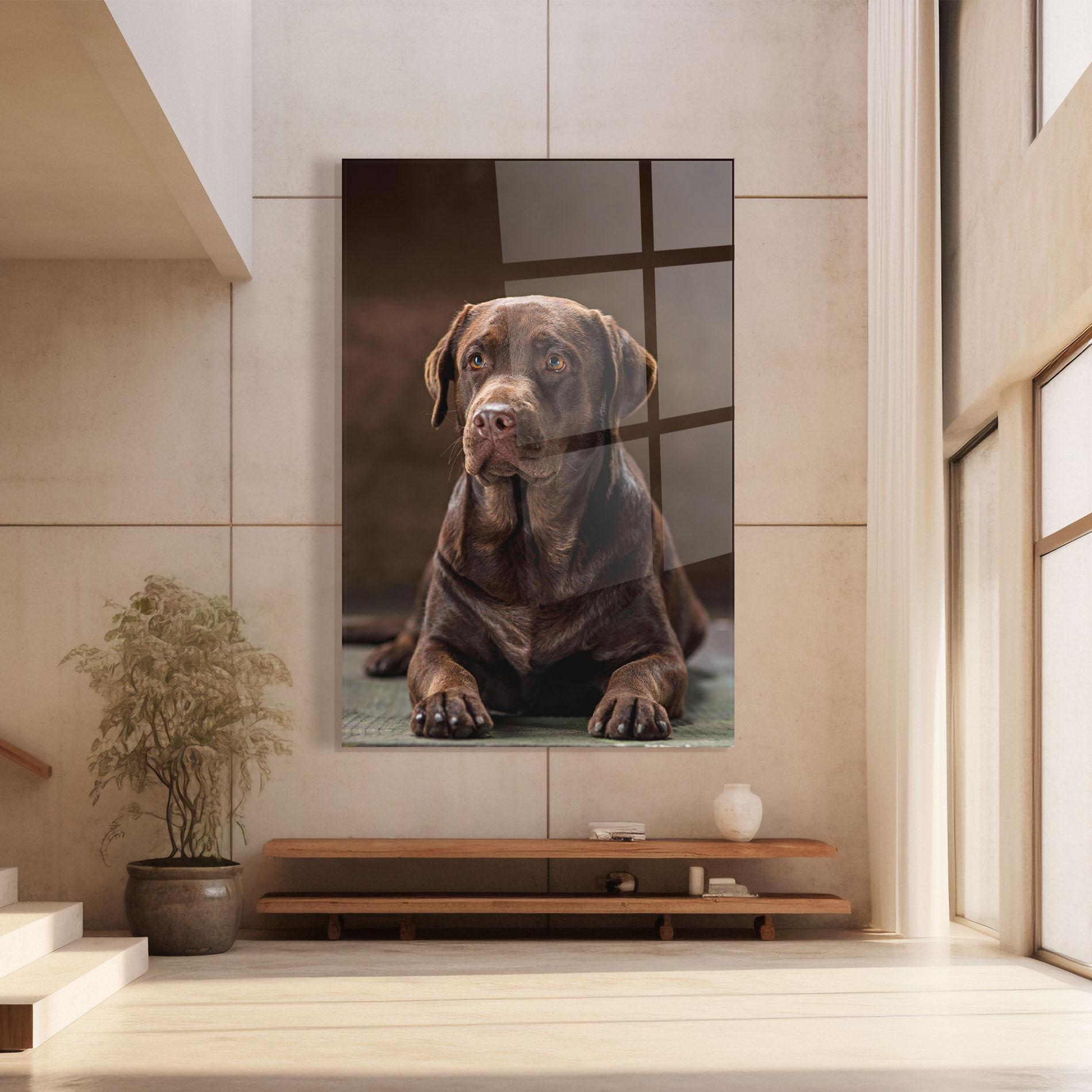 Glasbild Brown Labrador Dog mockup 8