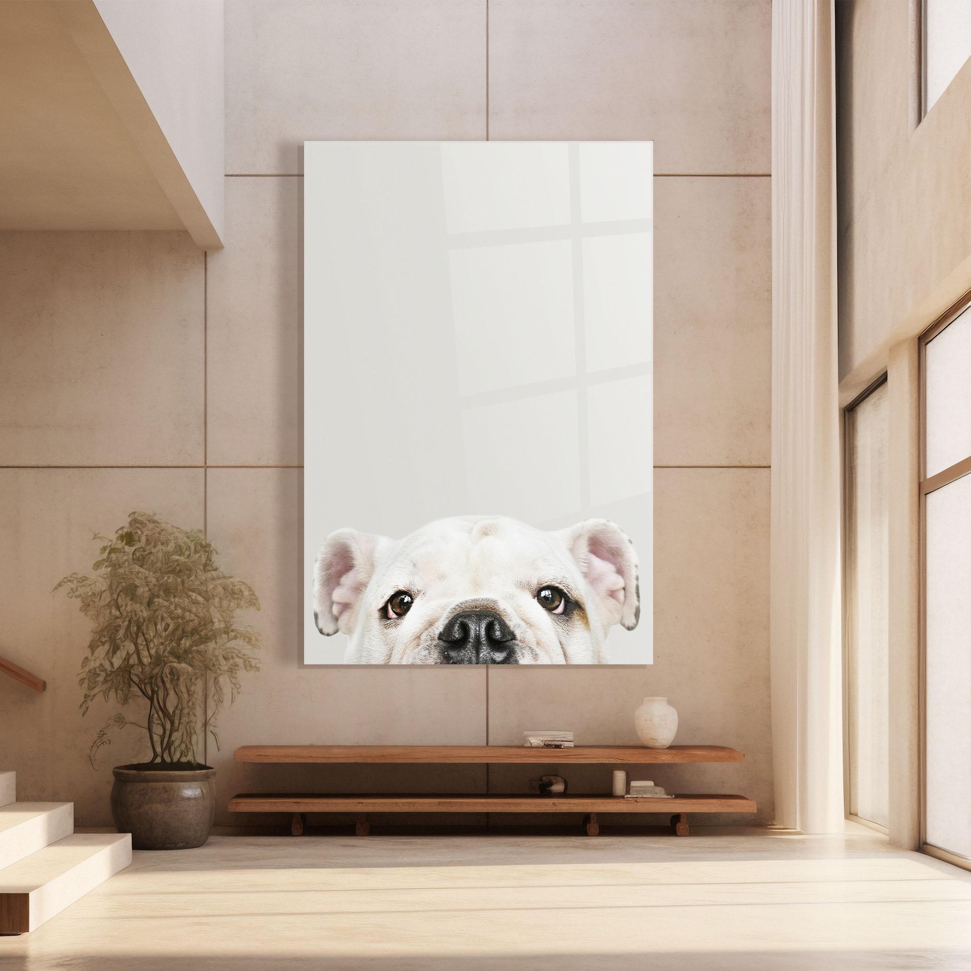 Glasbild Bulldog Eyes mockup 8