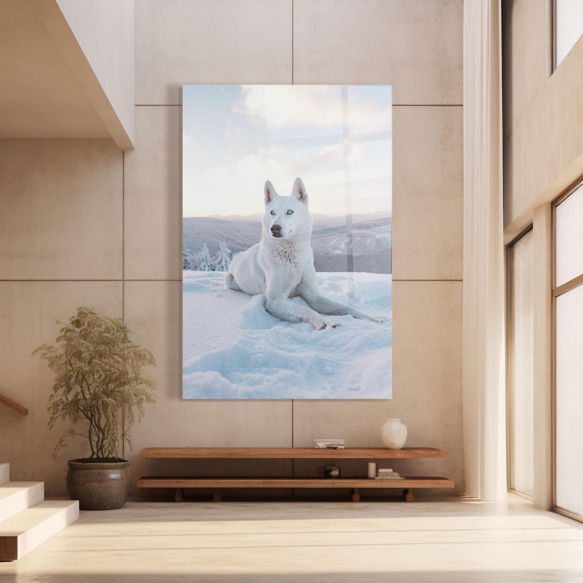 Glasbild White Husky mockup 8