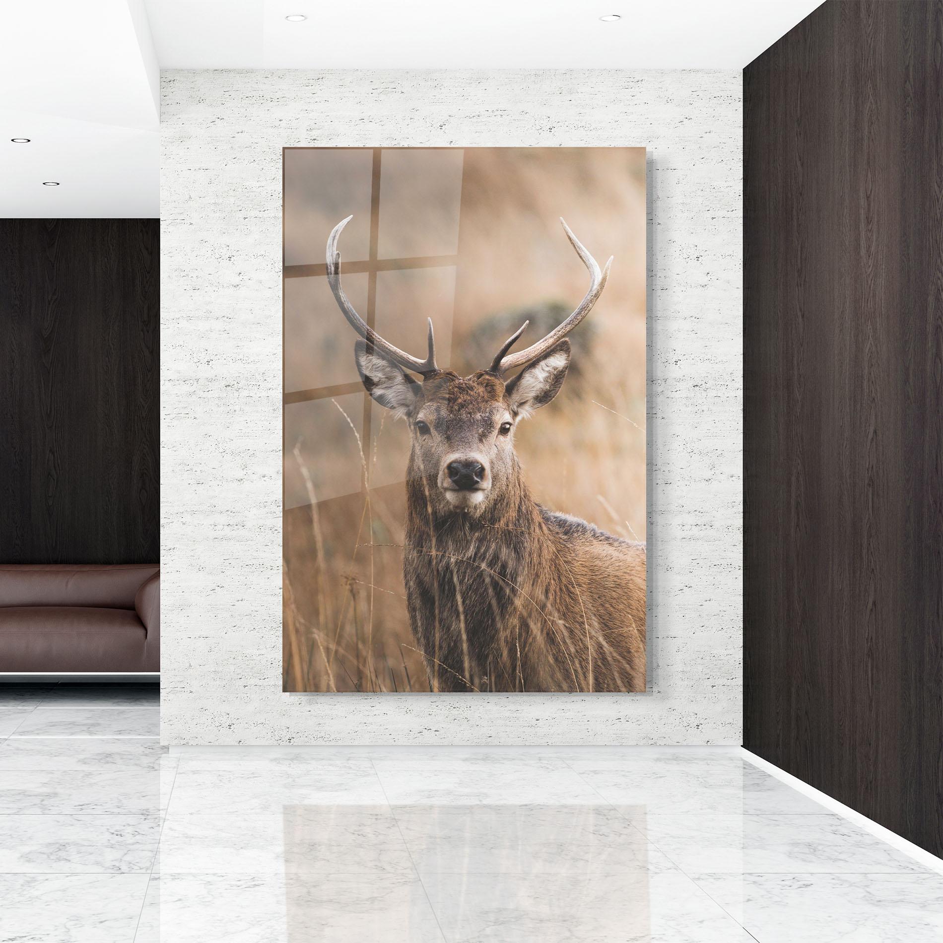 Glasbild Majestic Deer mockup 9