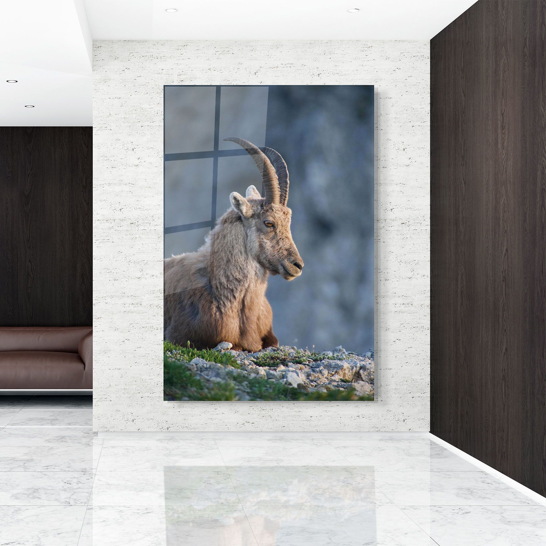 Mountain Goat mockup 9