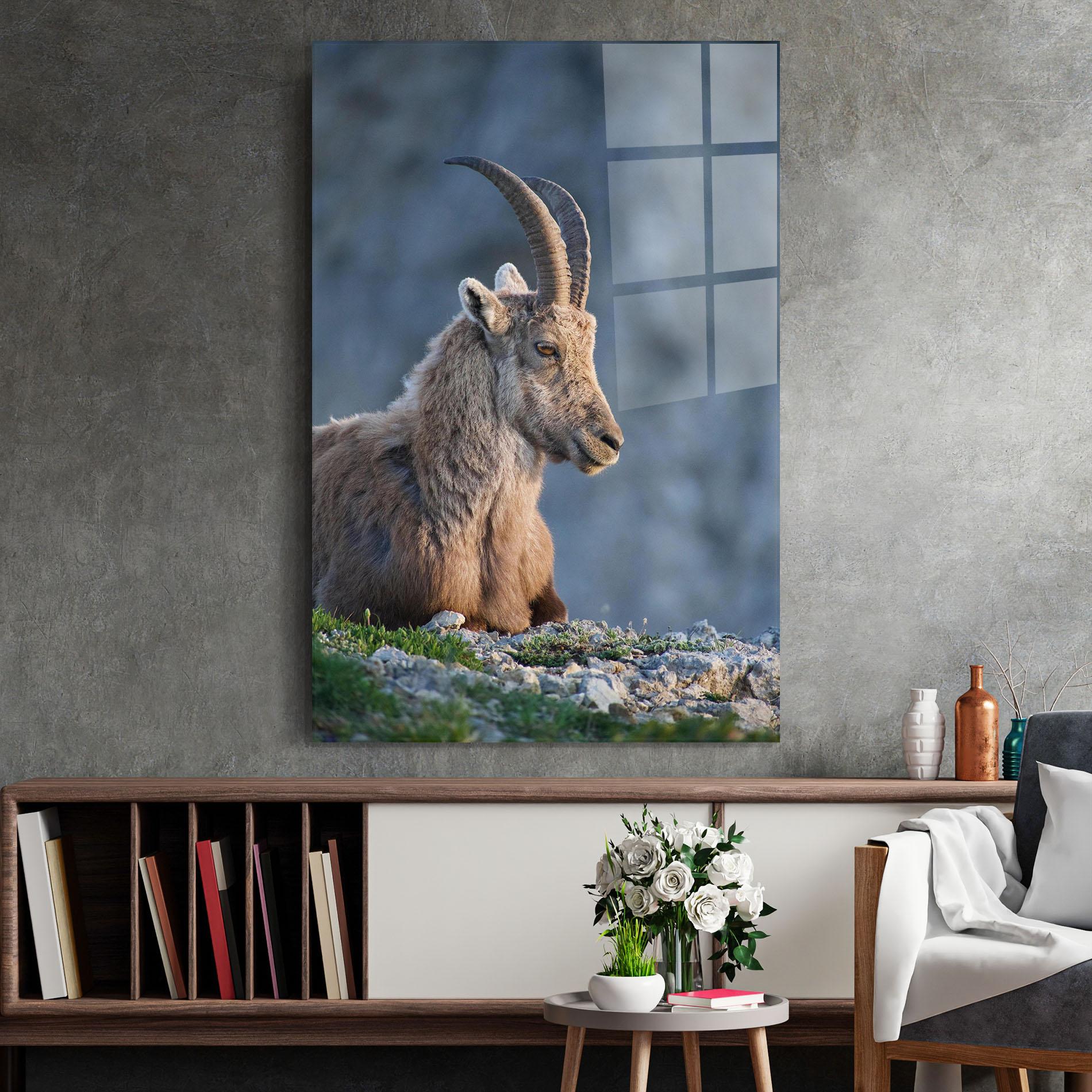 Glasbild Mountain Goat mockup 2