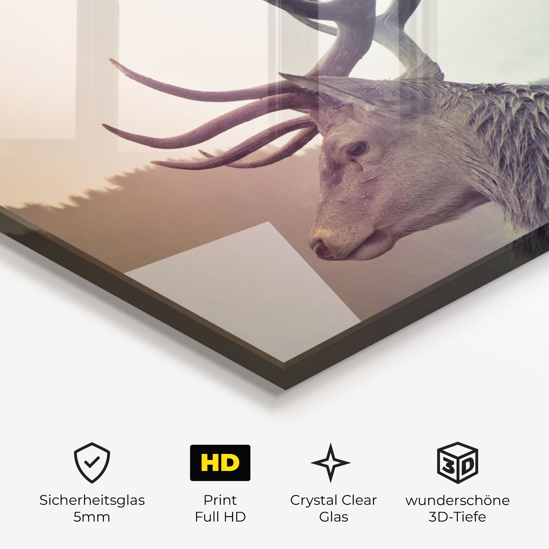 King Of The Forest mockup 3