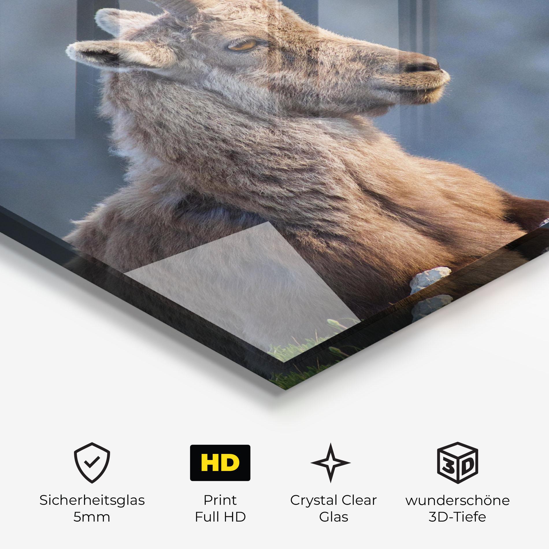 Glasbild Mountain Goat mockup 3