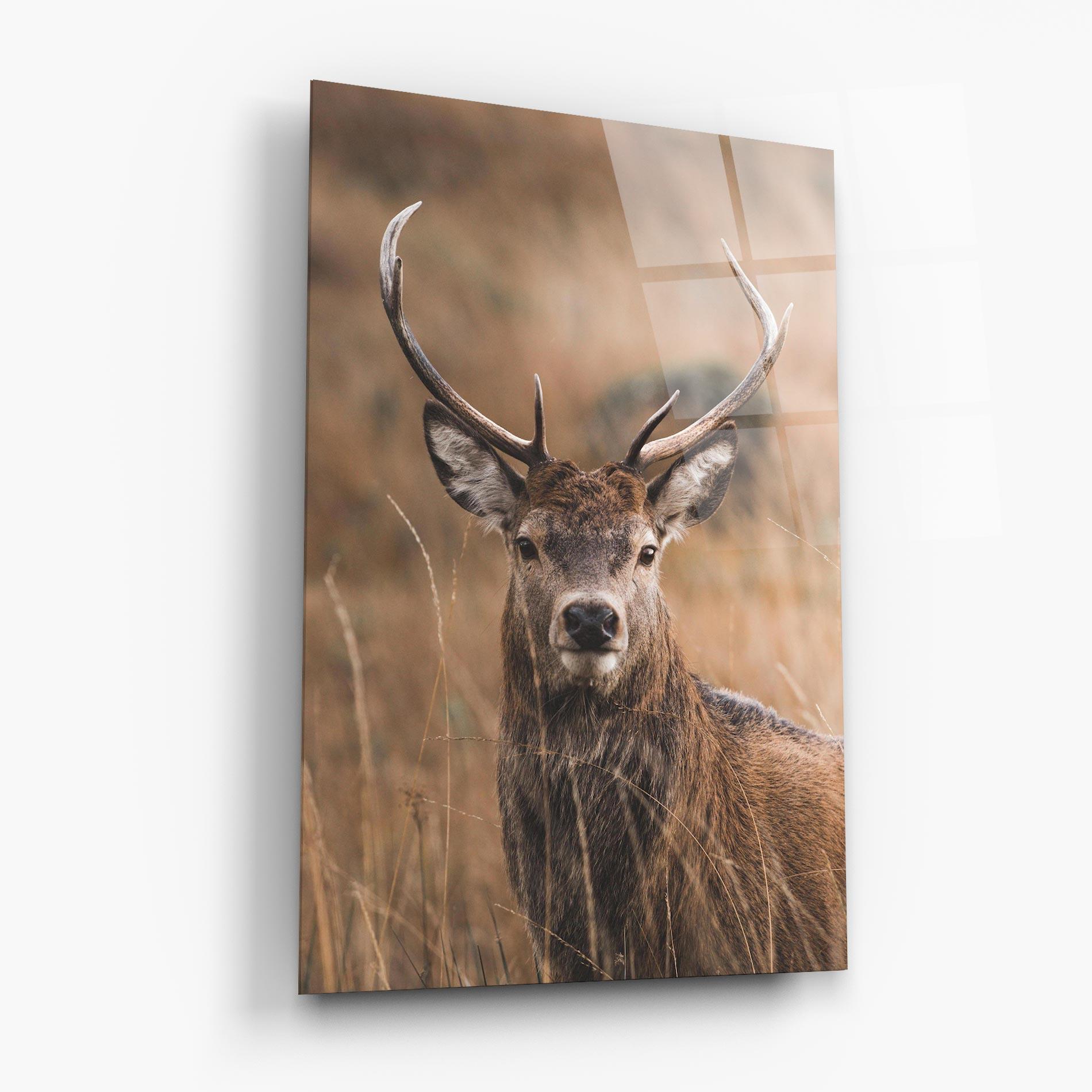 Glasbild Majestic Deer mockup 6