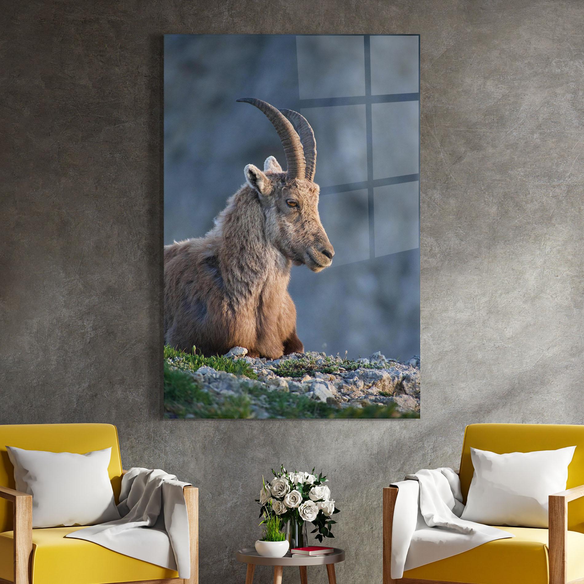 Glasbild Mountain Goat mockup 4