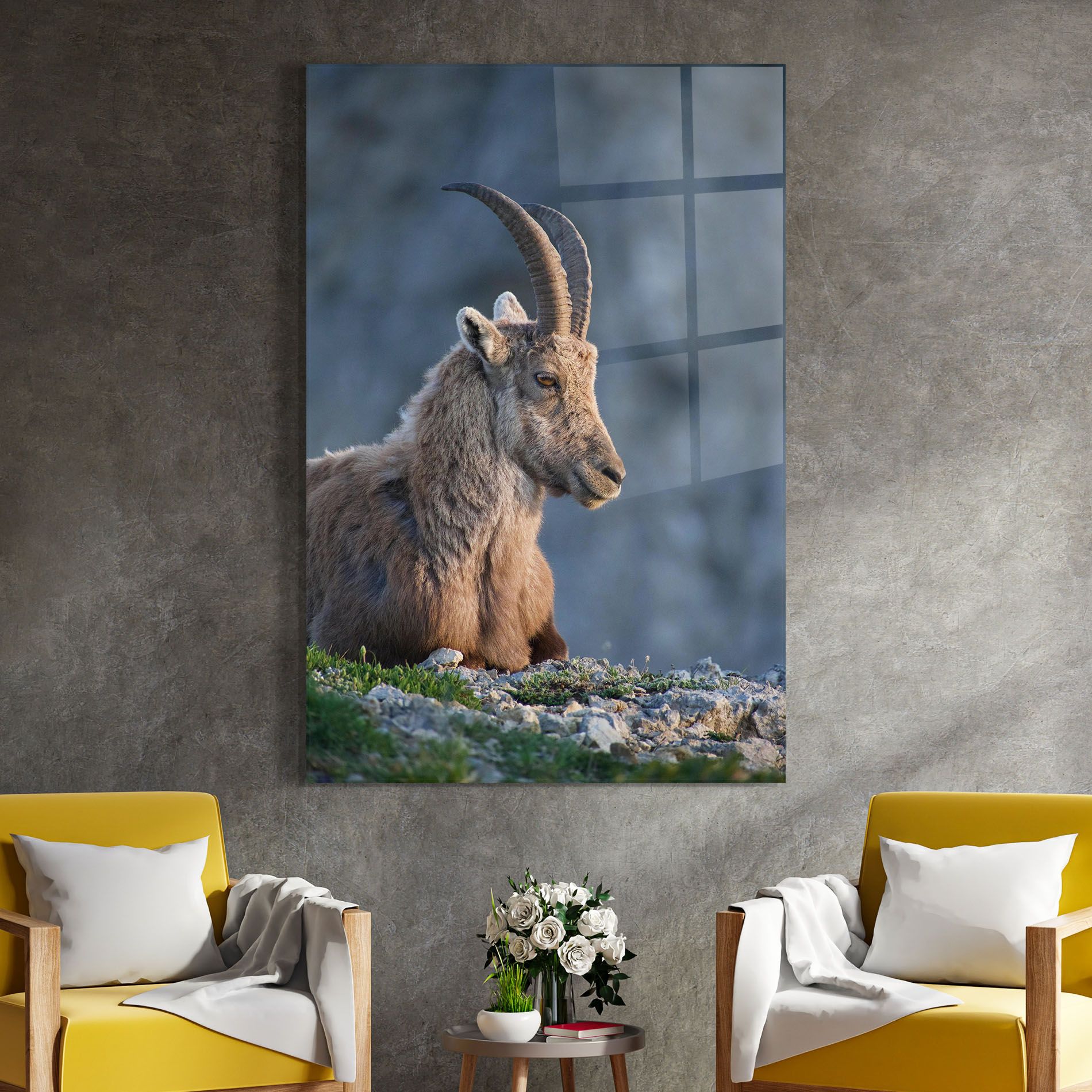 Mountain Goat mockup 4