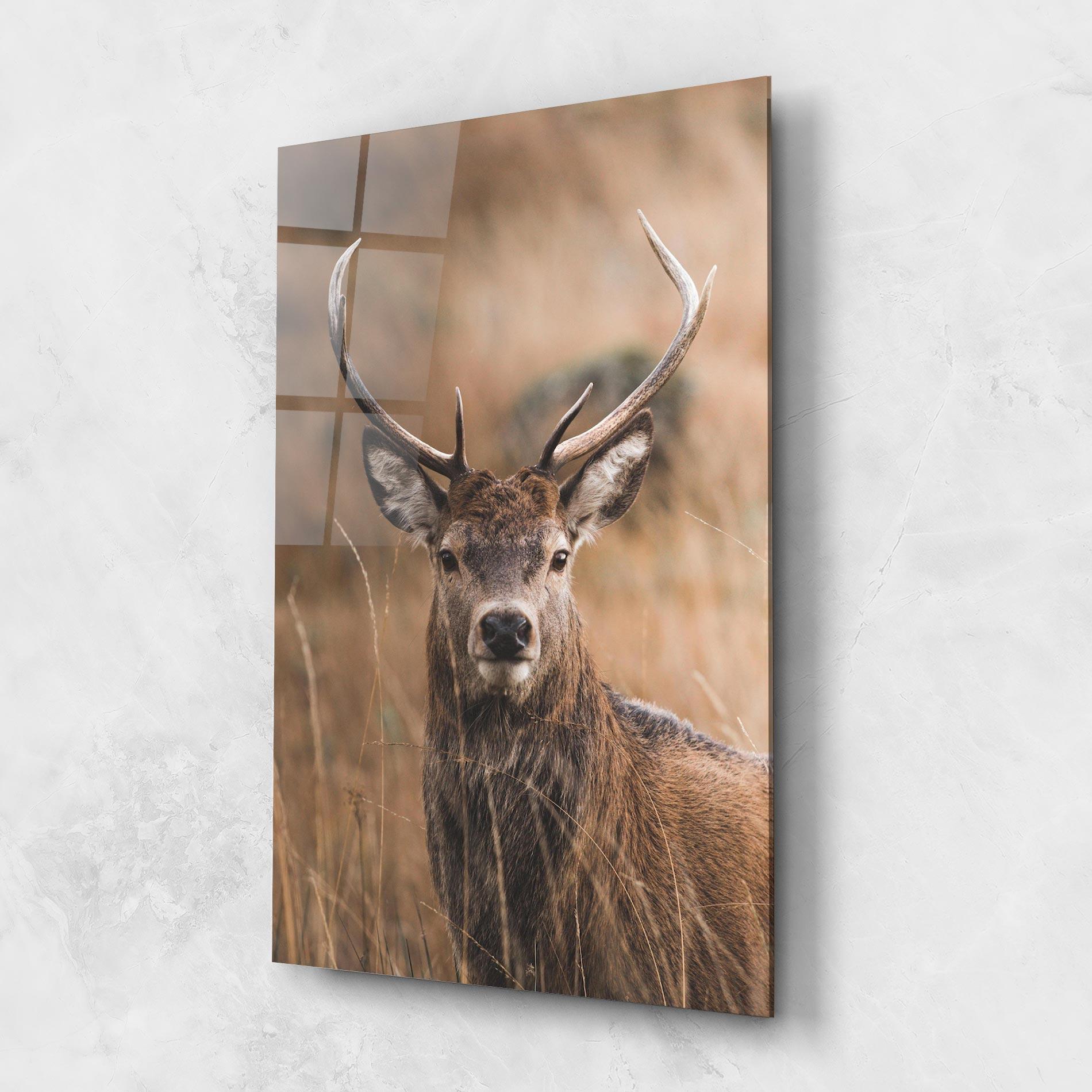 Glasbild Majestic Deer mockup 1