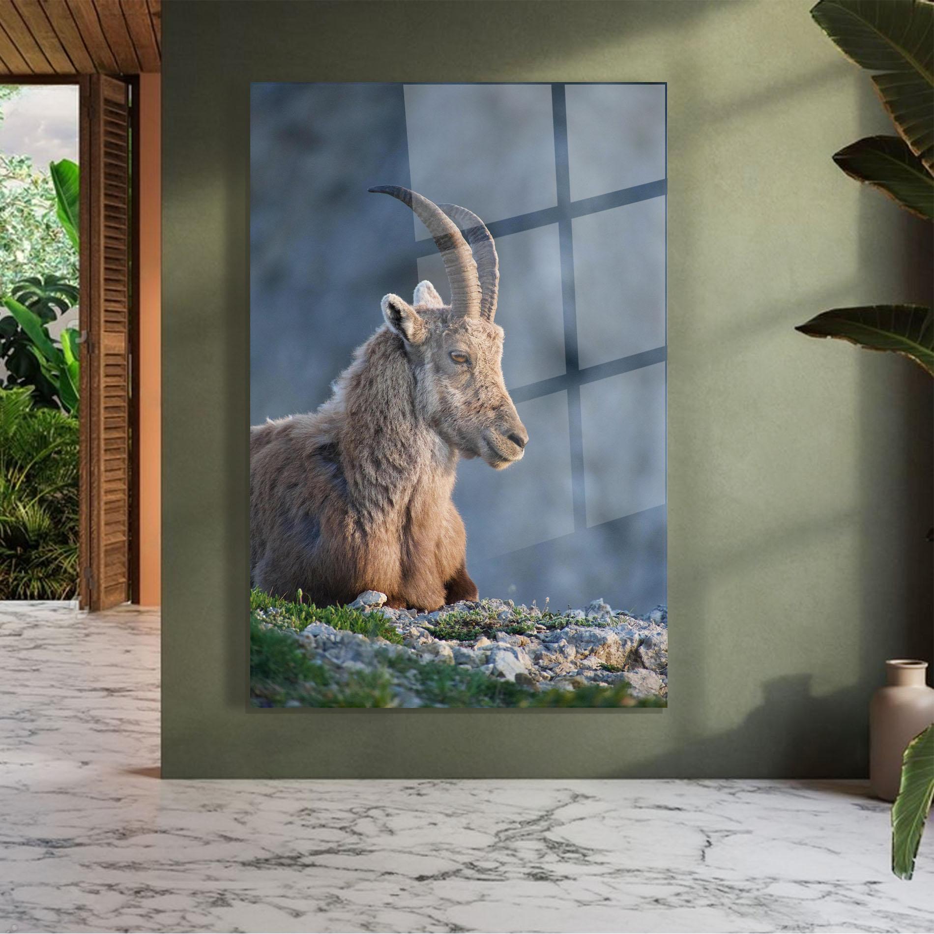 Glasbild Mountain Goat mockup 7