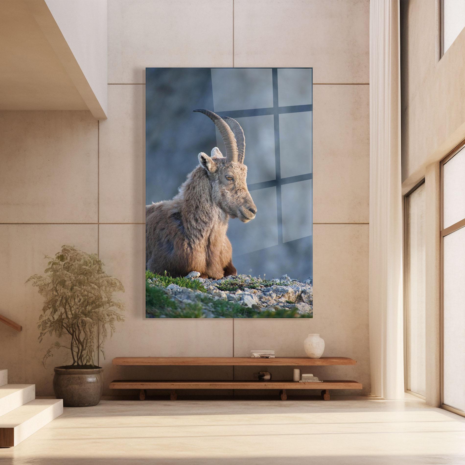 Glasbild Mountain Goat mockup 8