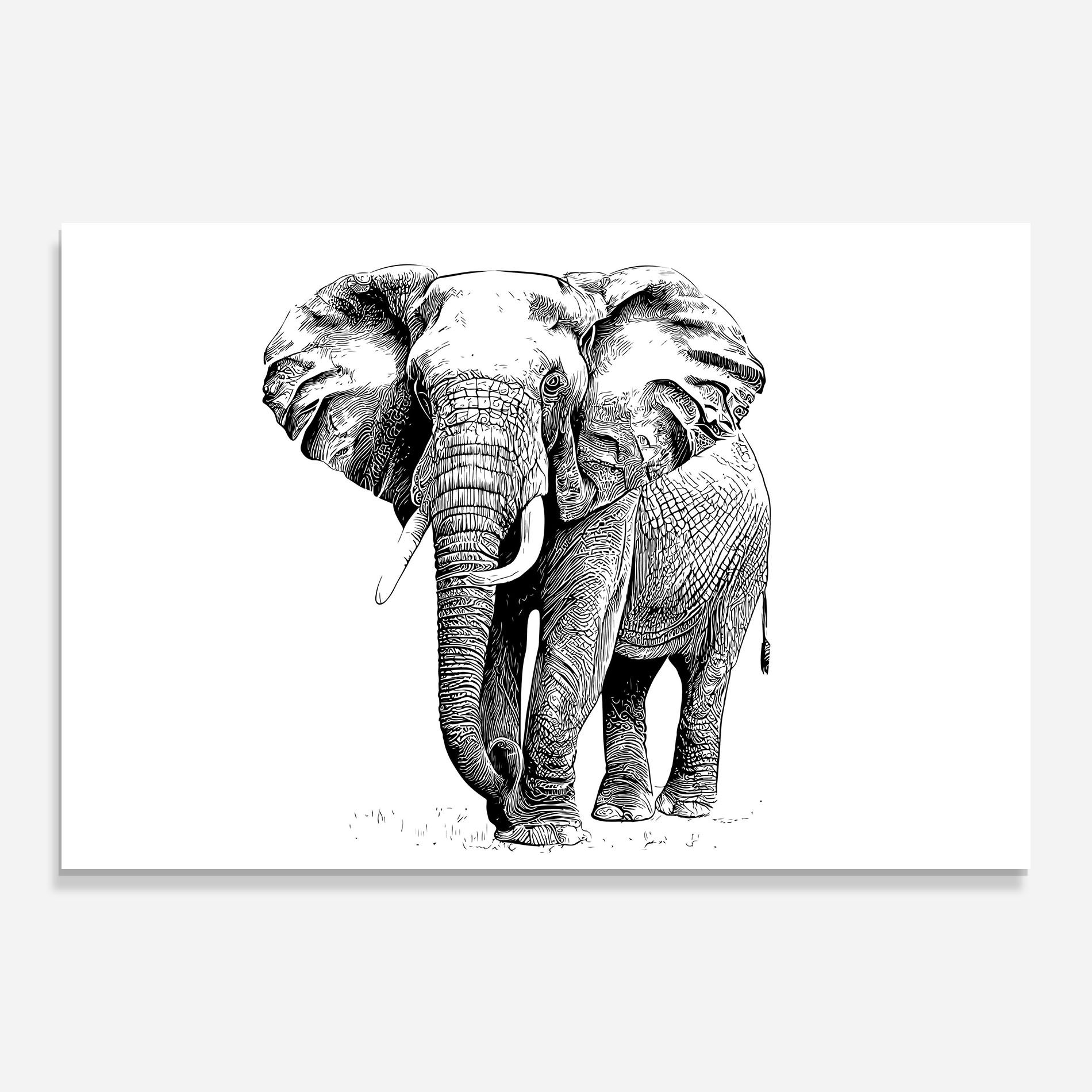 Black Lines Elephant mockup 0
