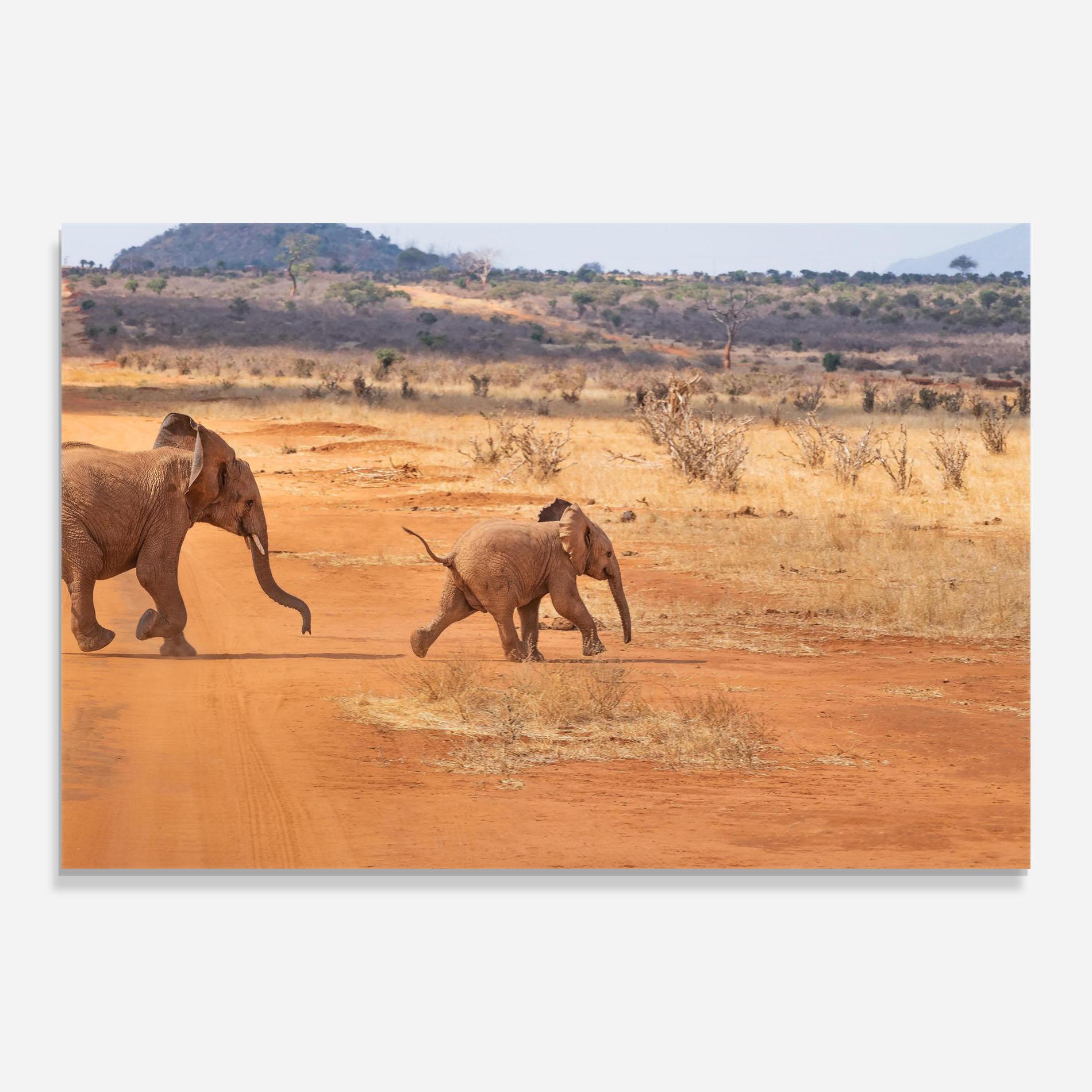 Glasbild Desert Safari mockup 0