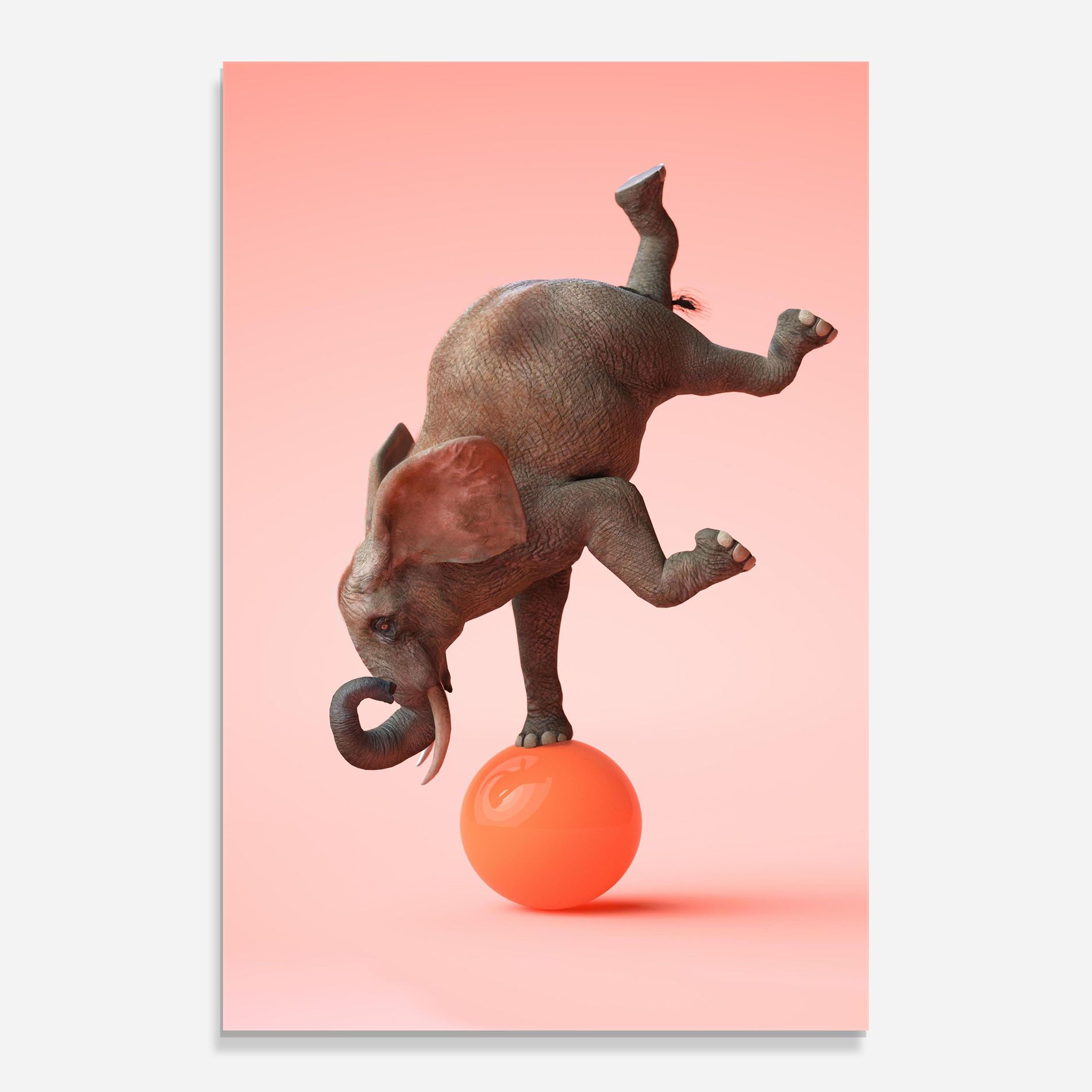 Ball Elephant mockup 0