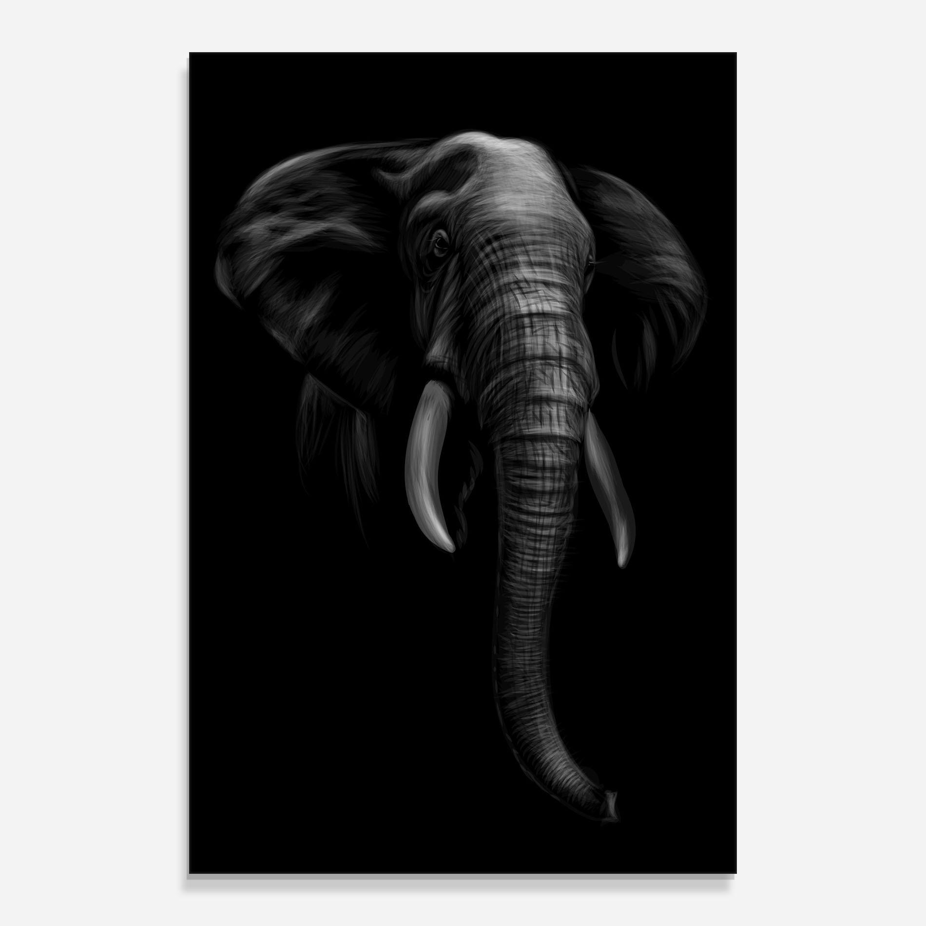 Glasbild Elephant Head mockup 0
