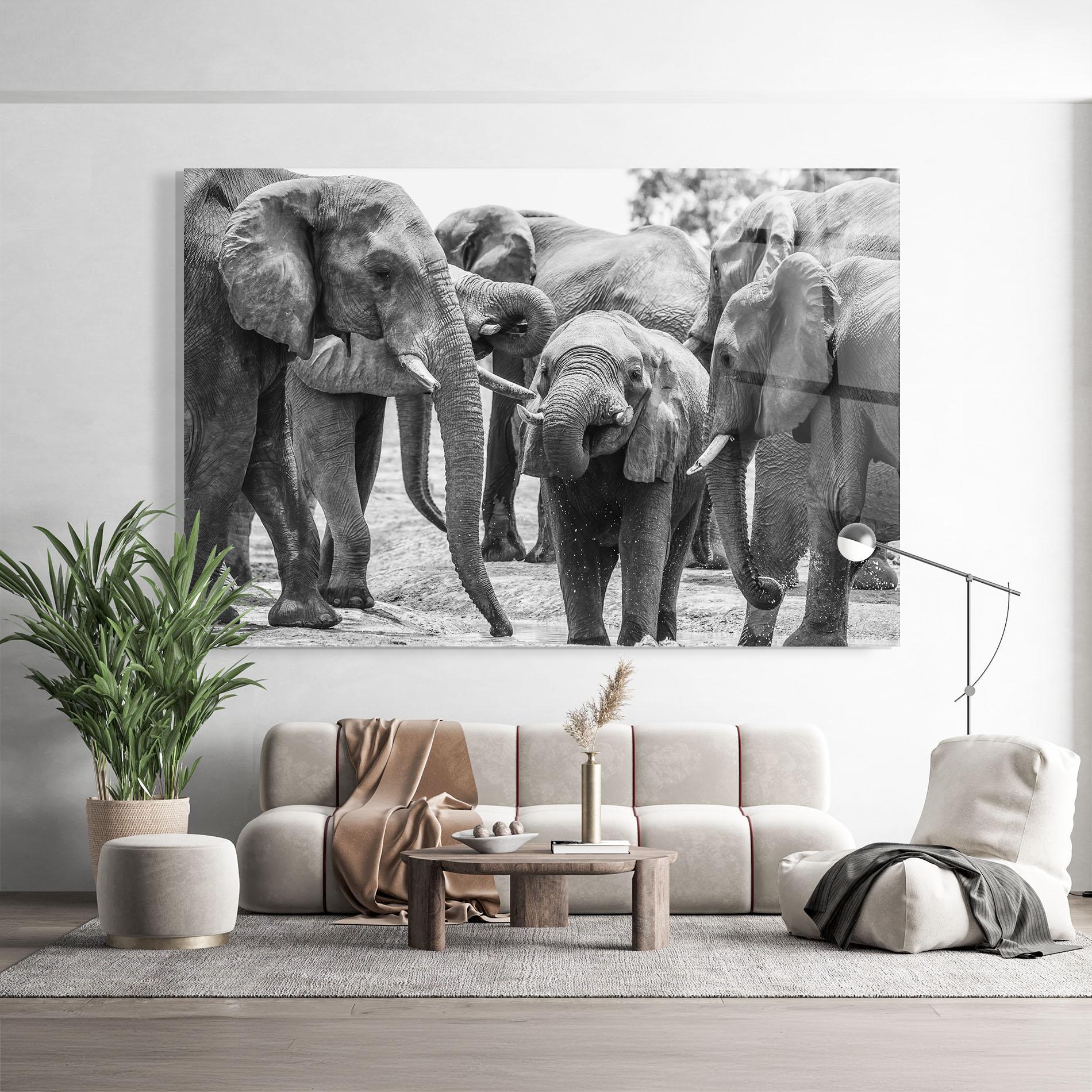 Glasbild Elephant Playing mockup 9