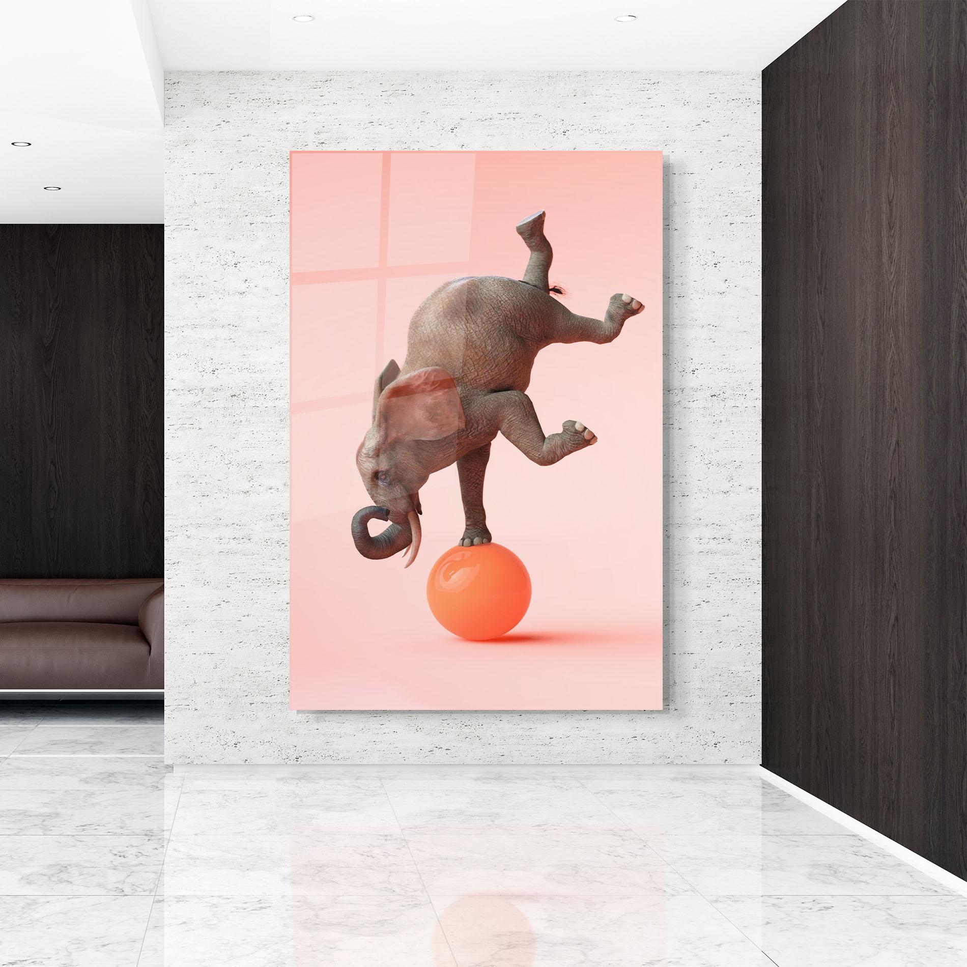 Glasbild Ball Elephant mockup 9