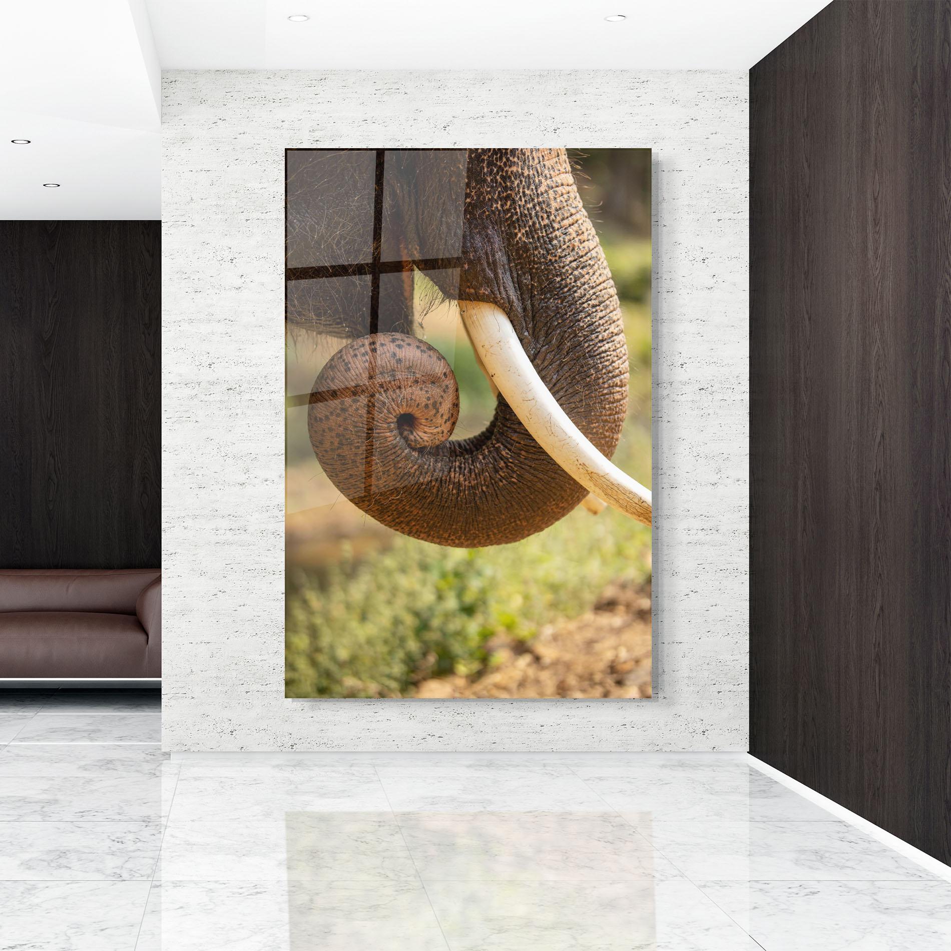 Glasbild Elephant Mouth Close Up mockup 9