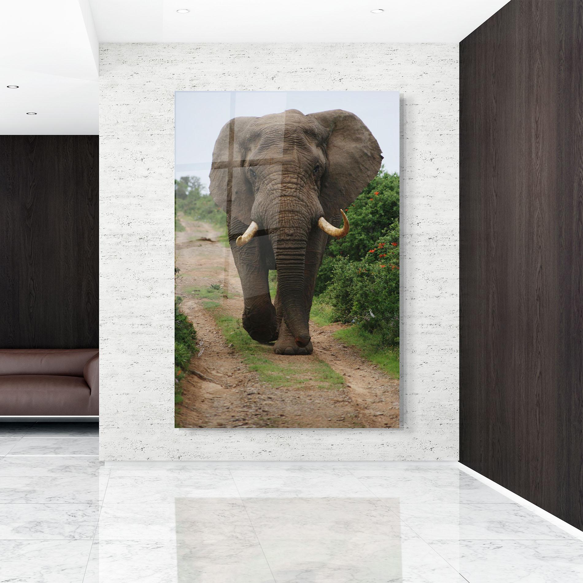 Glasbild Elephant Safari mockup 9