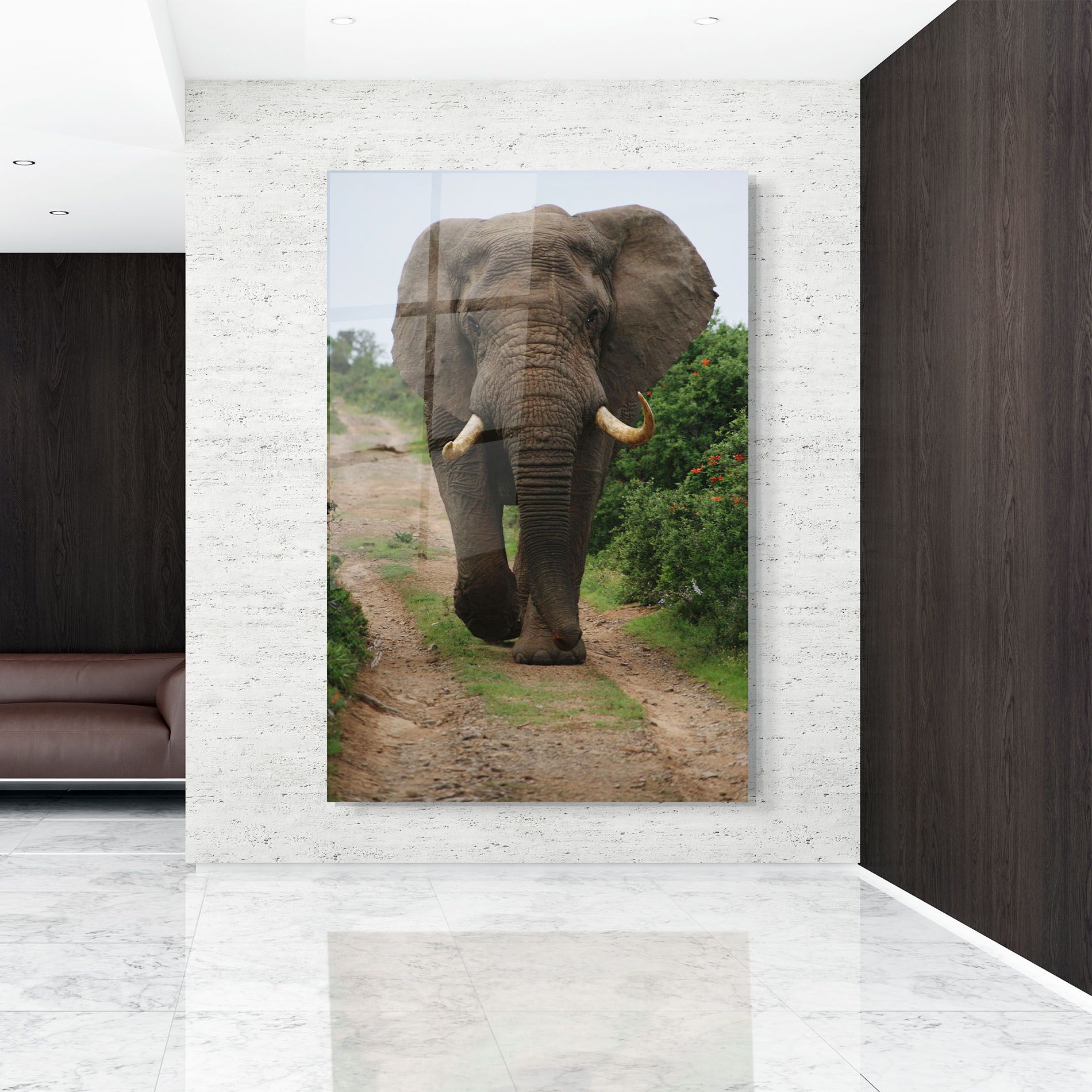 Elephant Safari mockup 9