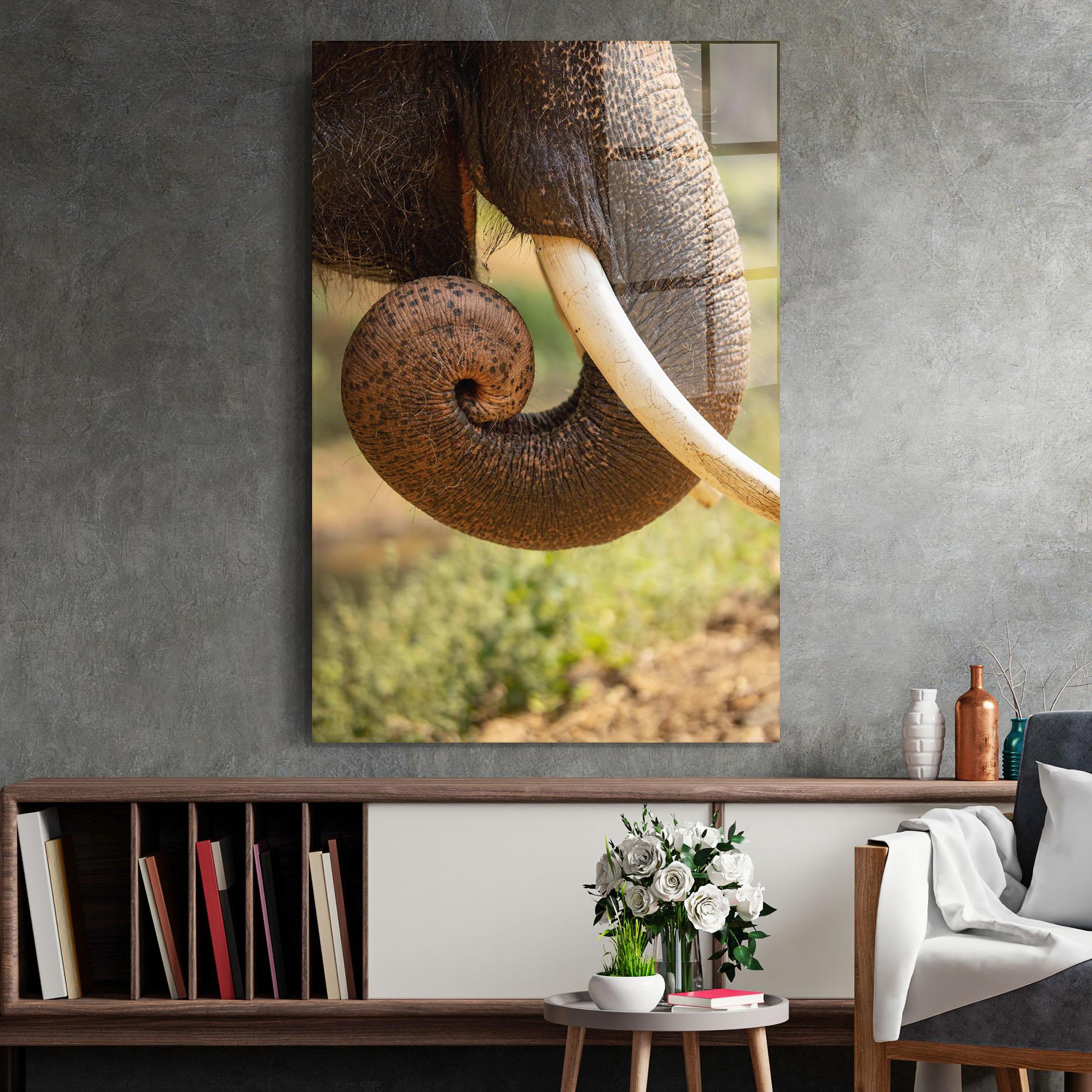 Glasbild Elephant Mouth Close Up mockup 2