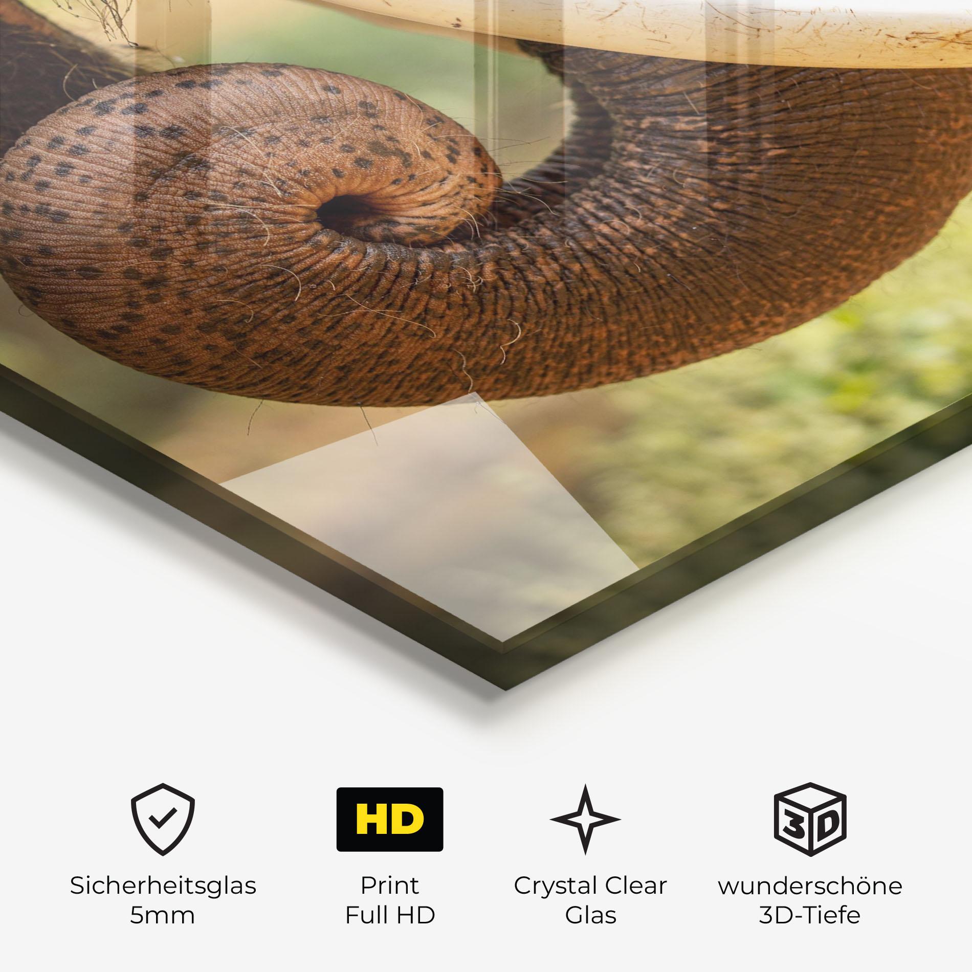 Glasbild Elephant Mouth Close Up mockup 3