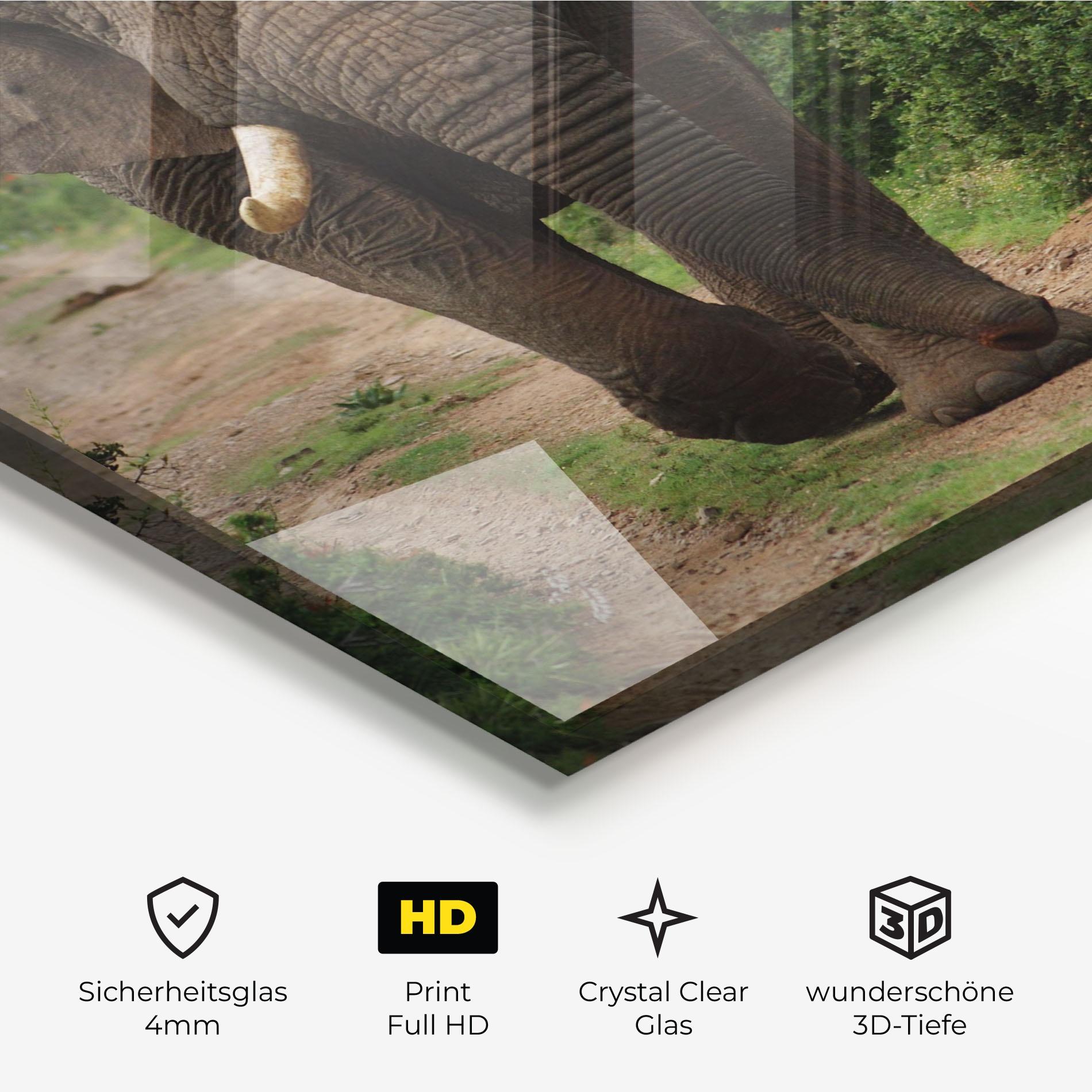 Glasbild Elephant Safari mockup 3