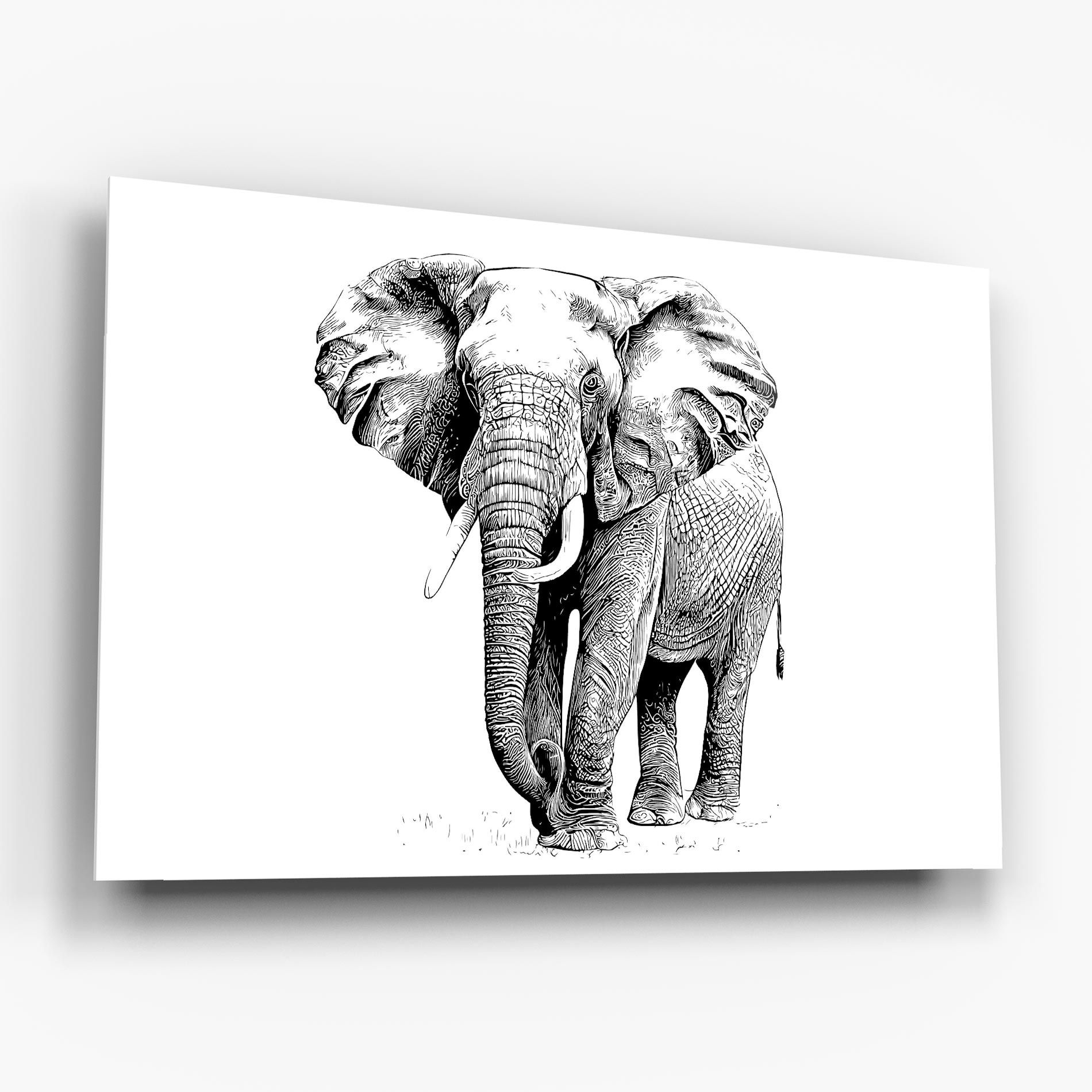 Black Lines Elephant mockup 6