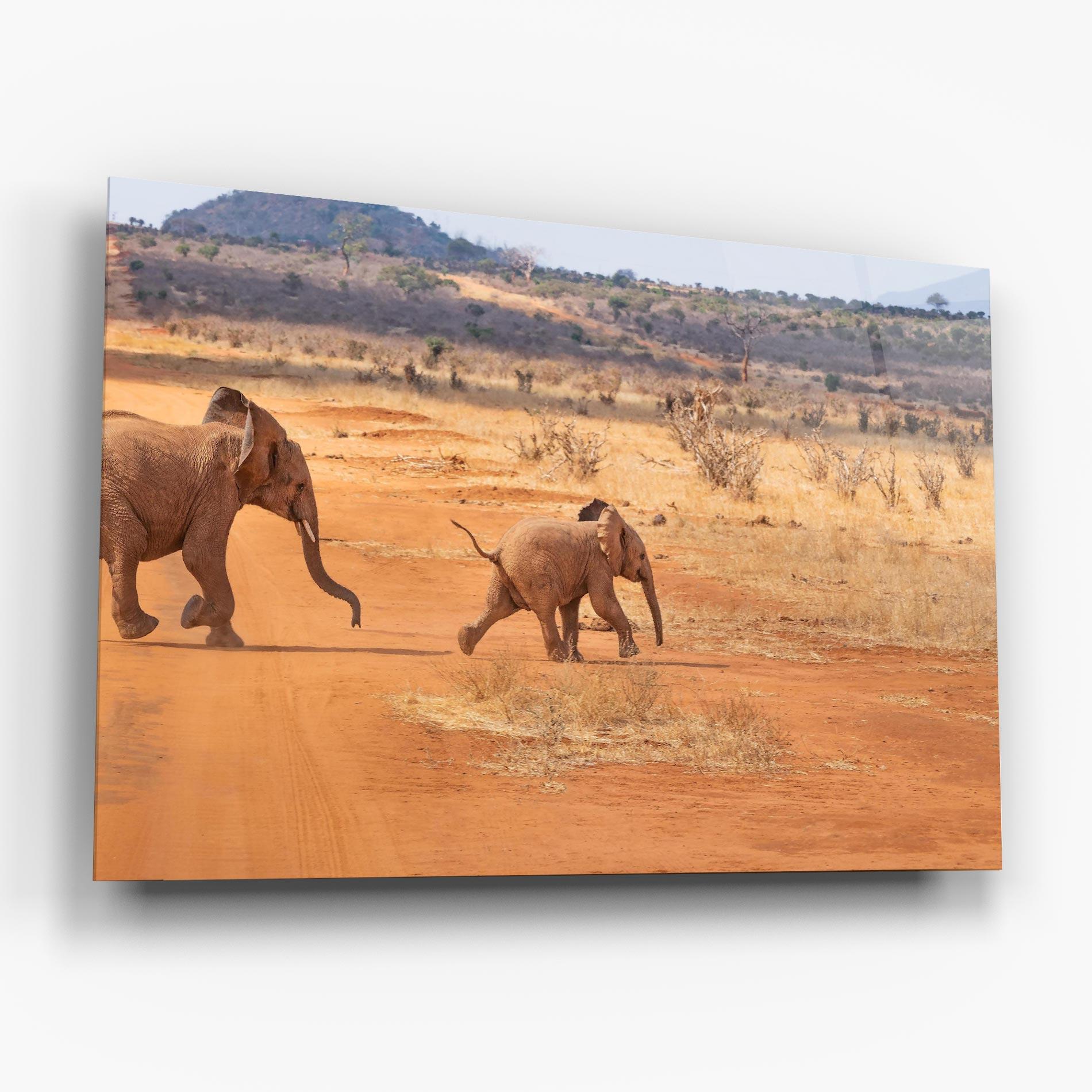 Glasbild Desert Safari mockup 6