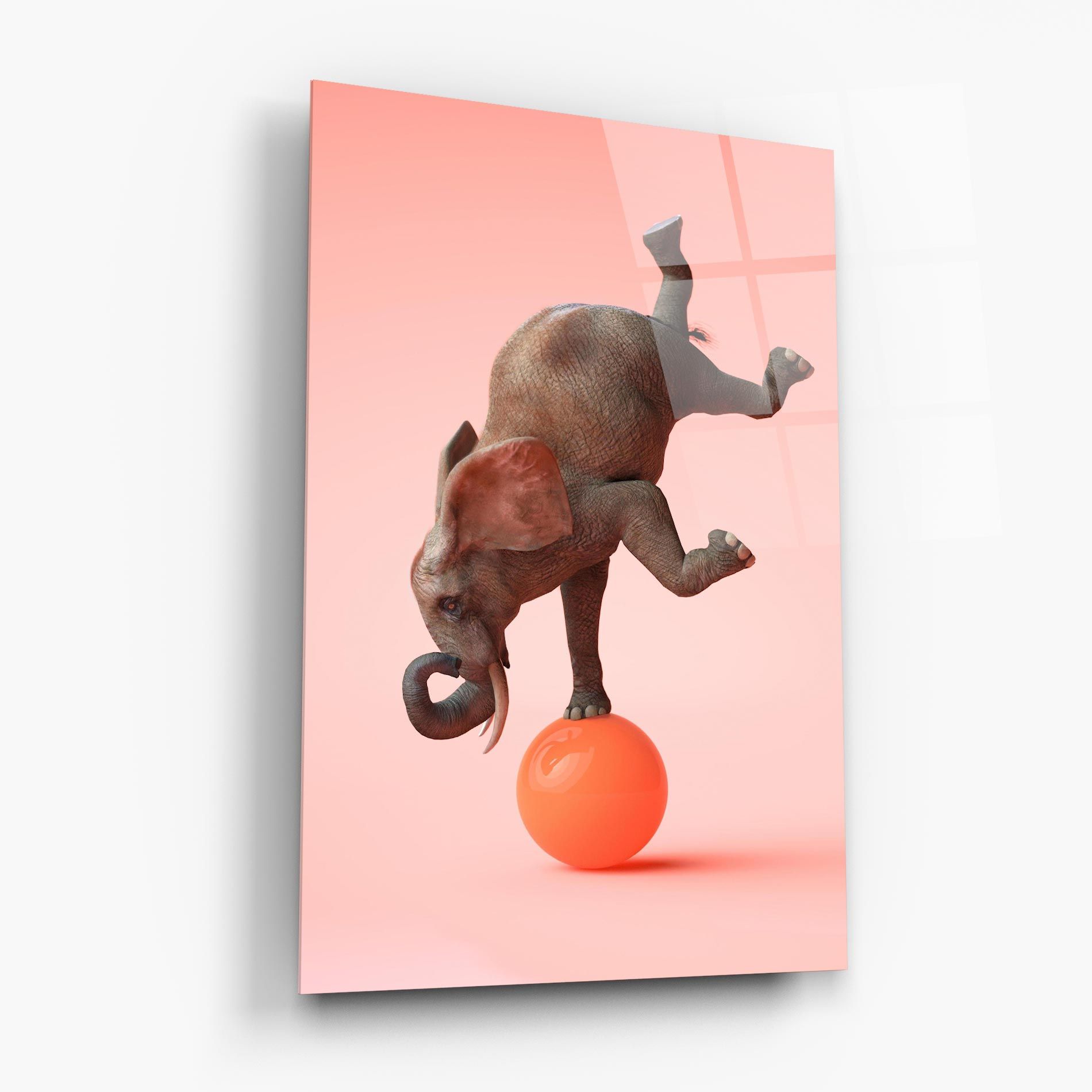 Ball Elephant mockup 6
