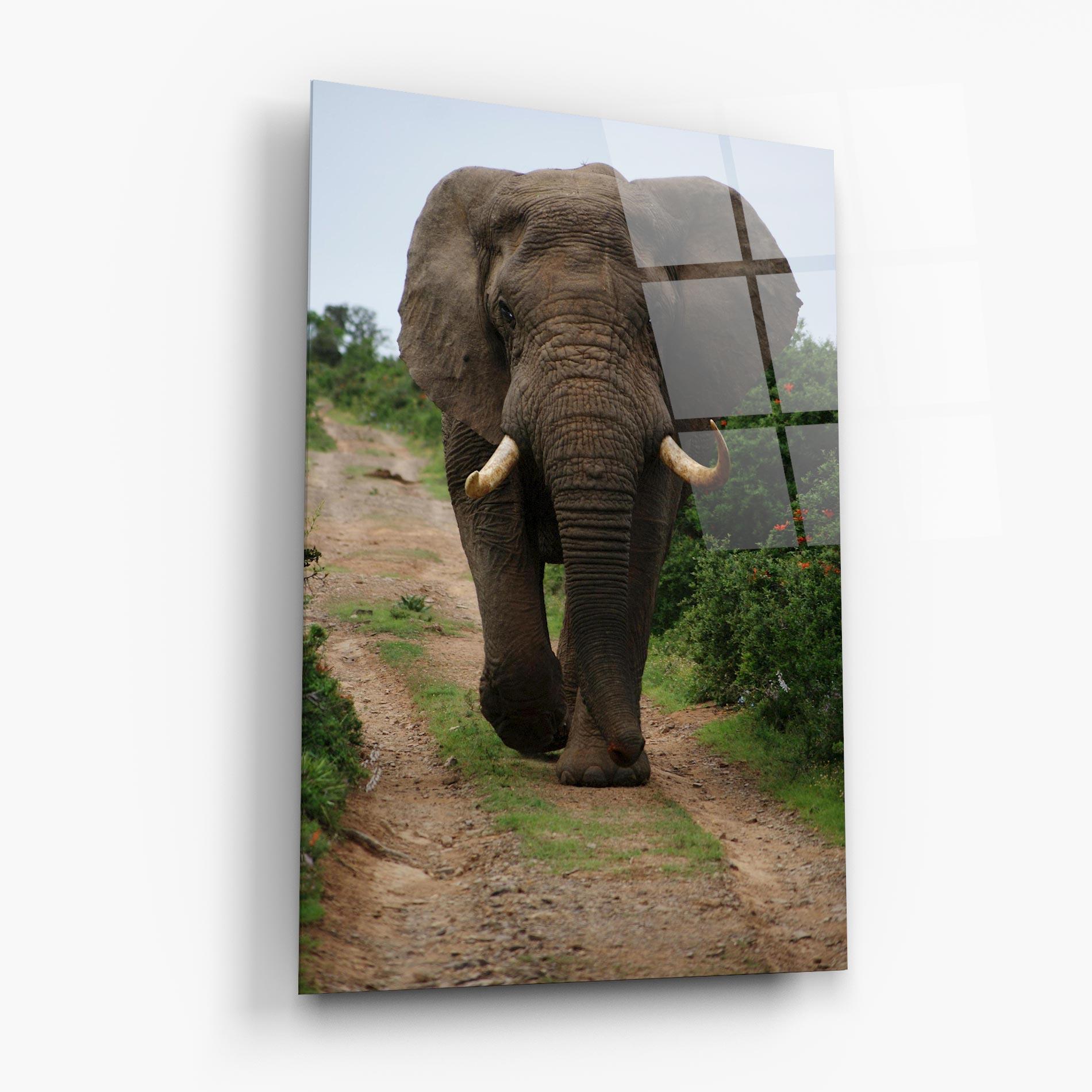 Glasbild Elephant Safari mockup 6