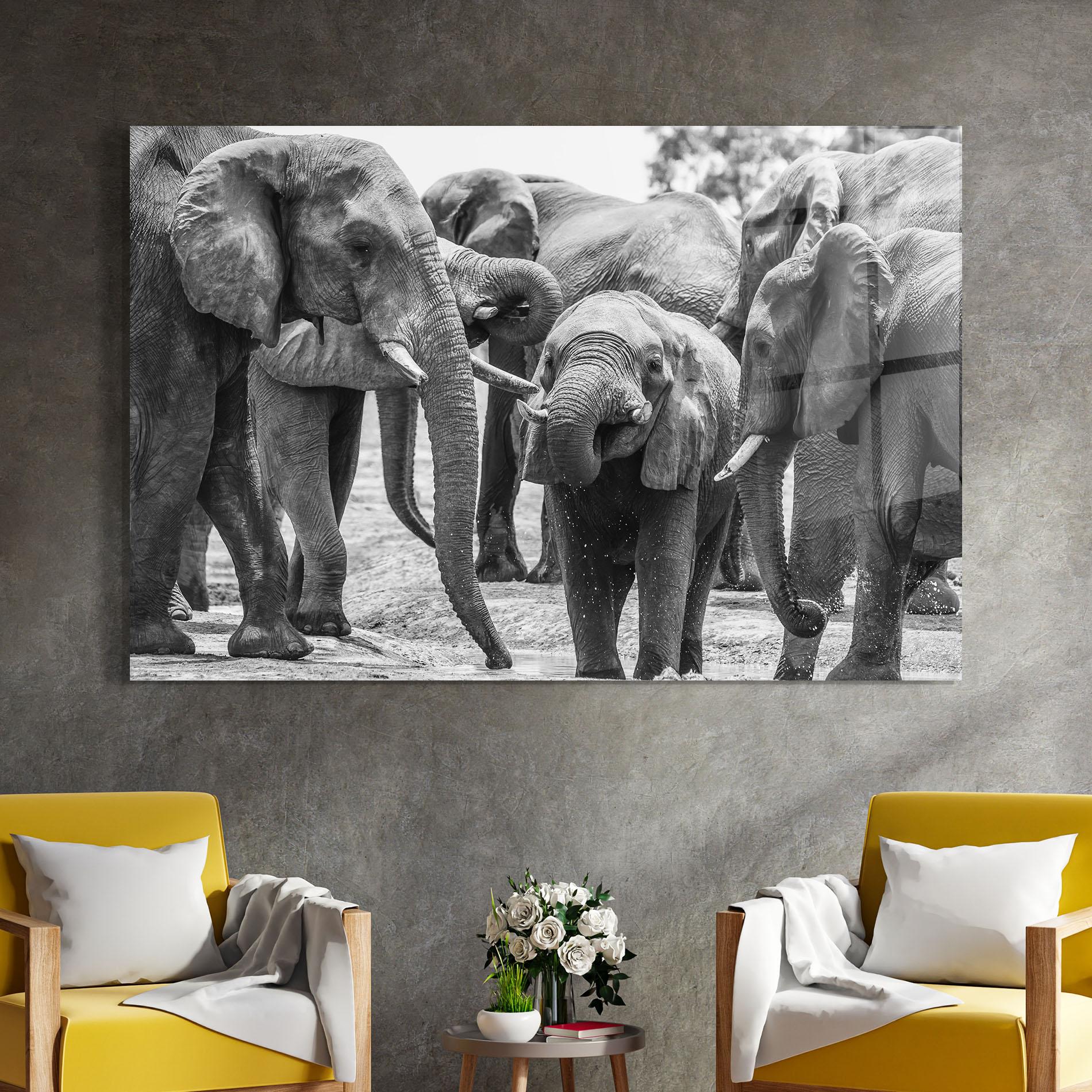Glasbild Elephant Playing mockup 4