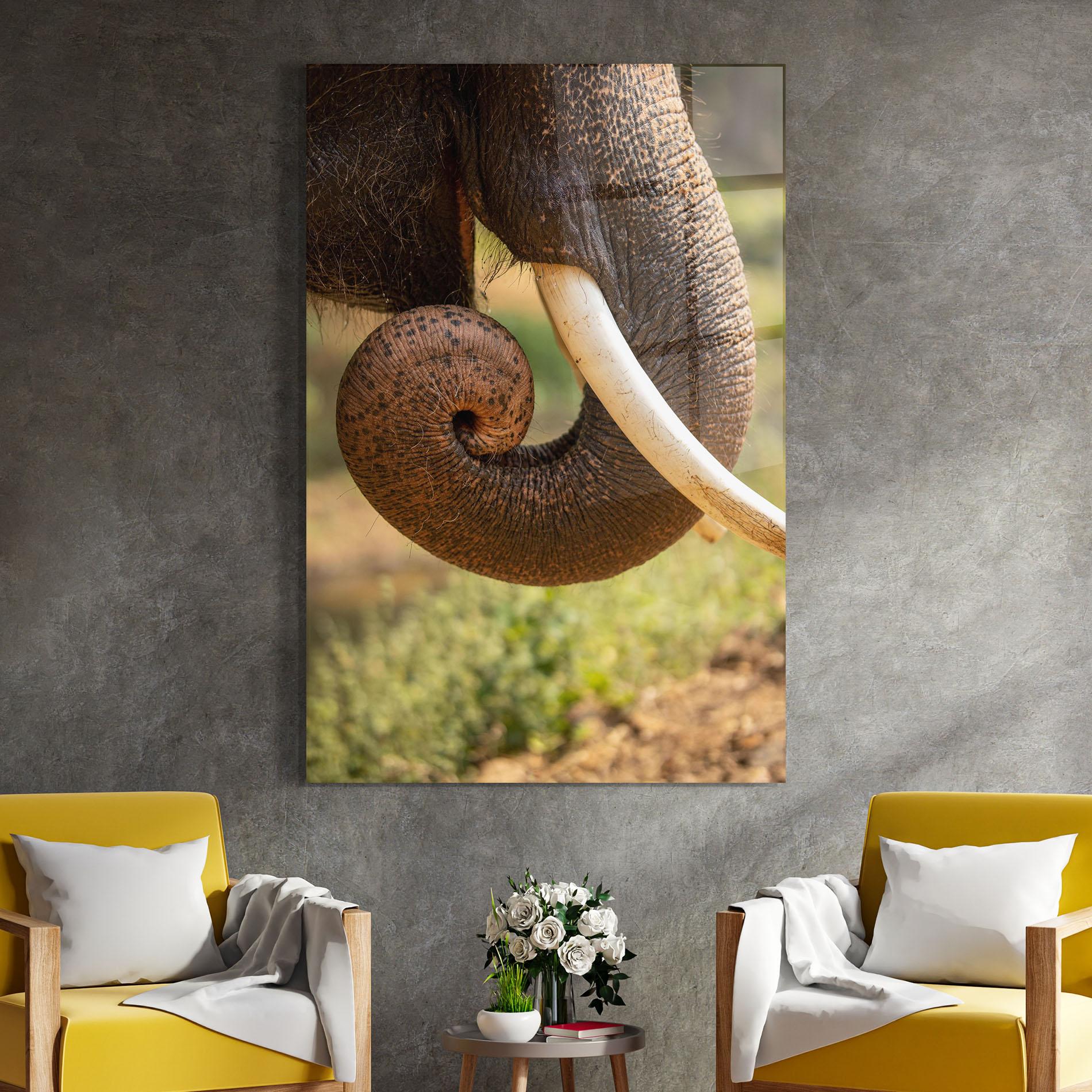 Glasbild Elephant Mouth Close Up mockup 4