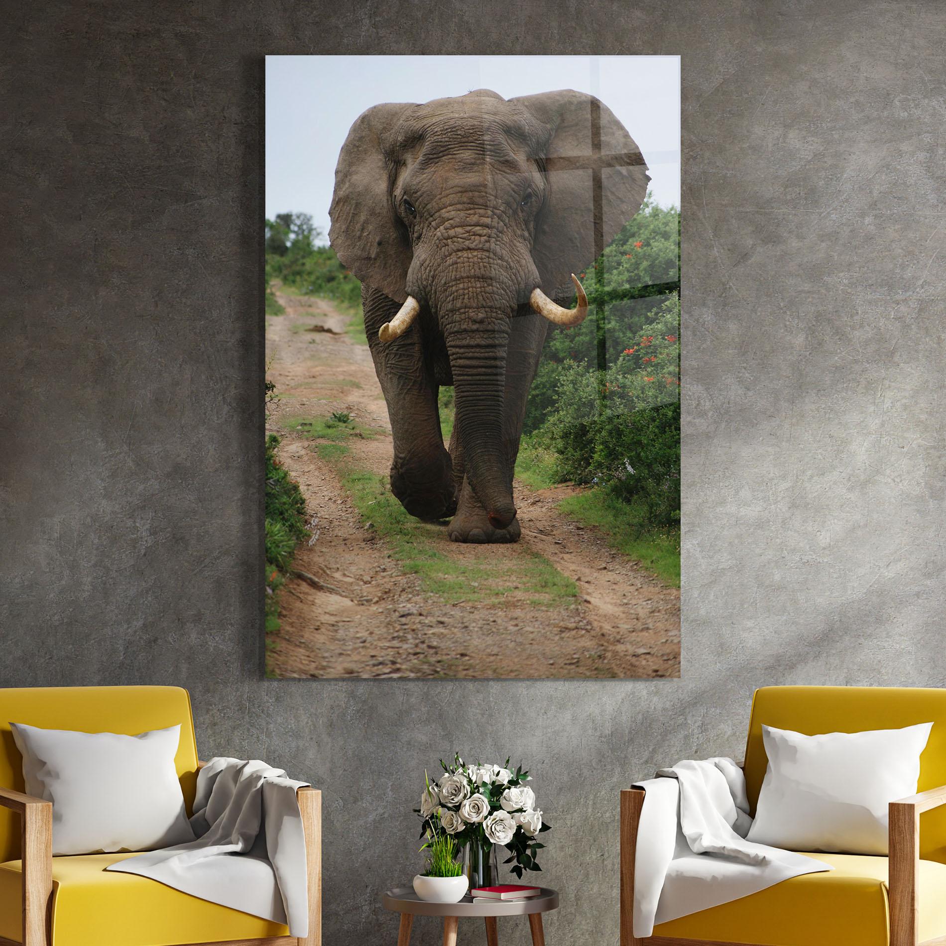 Glasbild Elephant Safari mockup 4