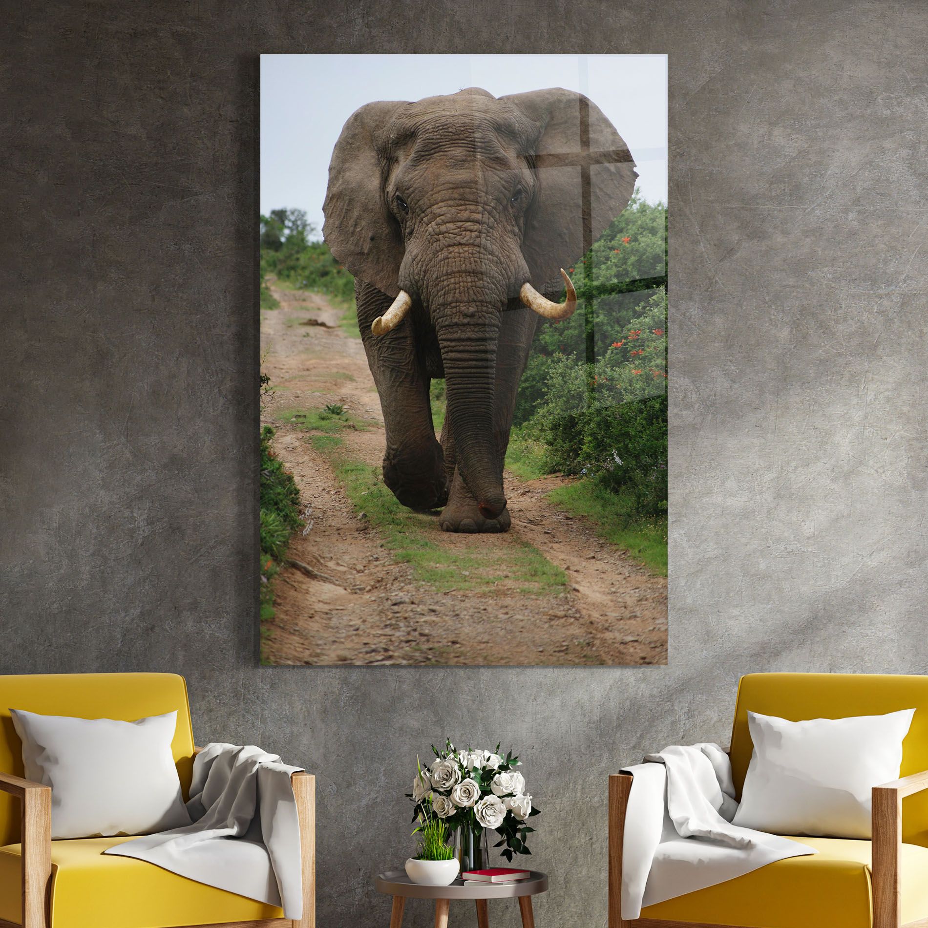 Elephant Safari mockup 4