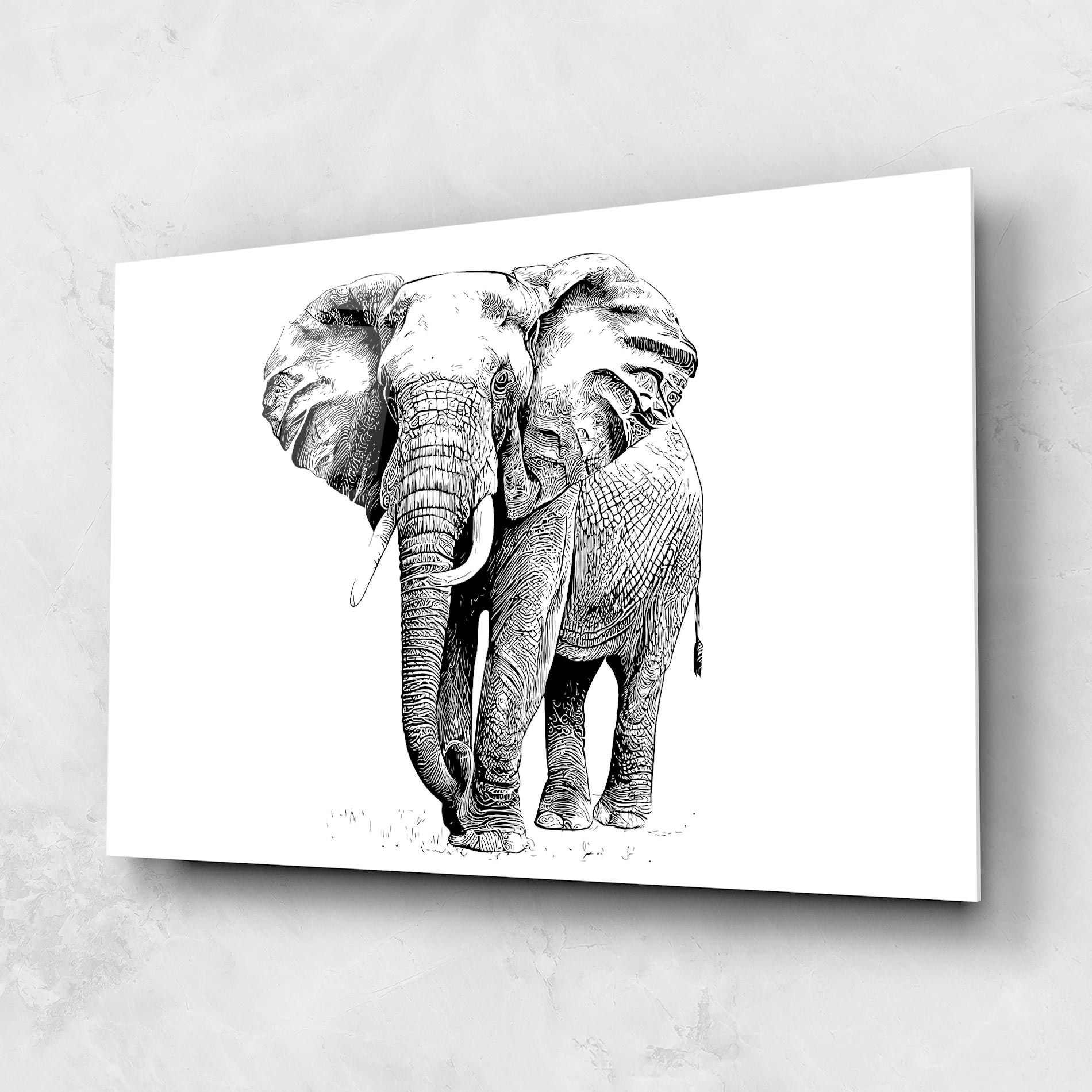 Black Lines Elephant mockup 1